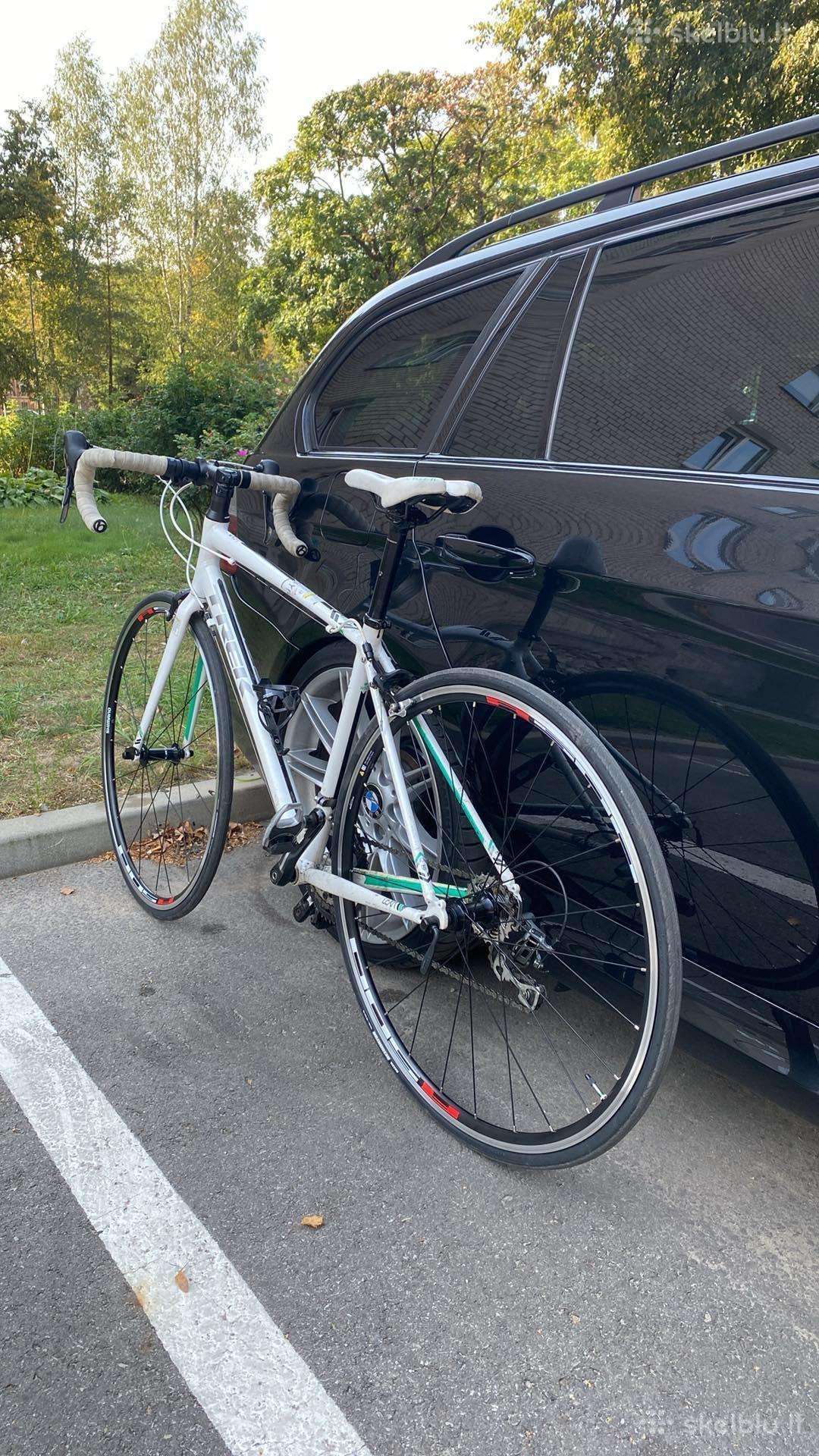 Plento, sportinis dviratis Trek