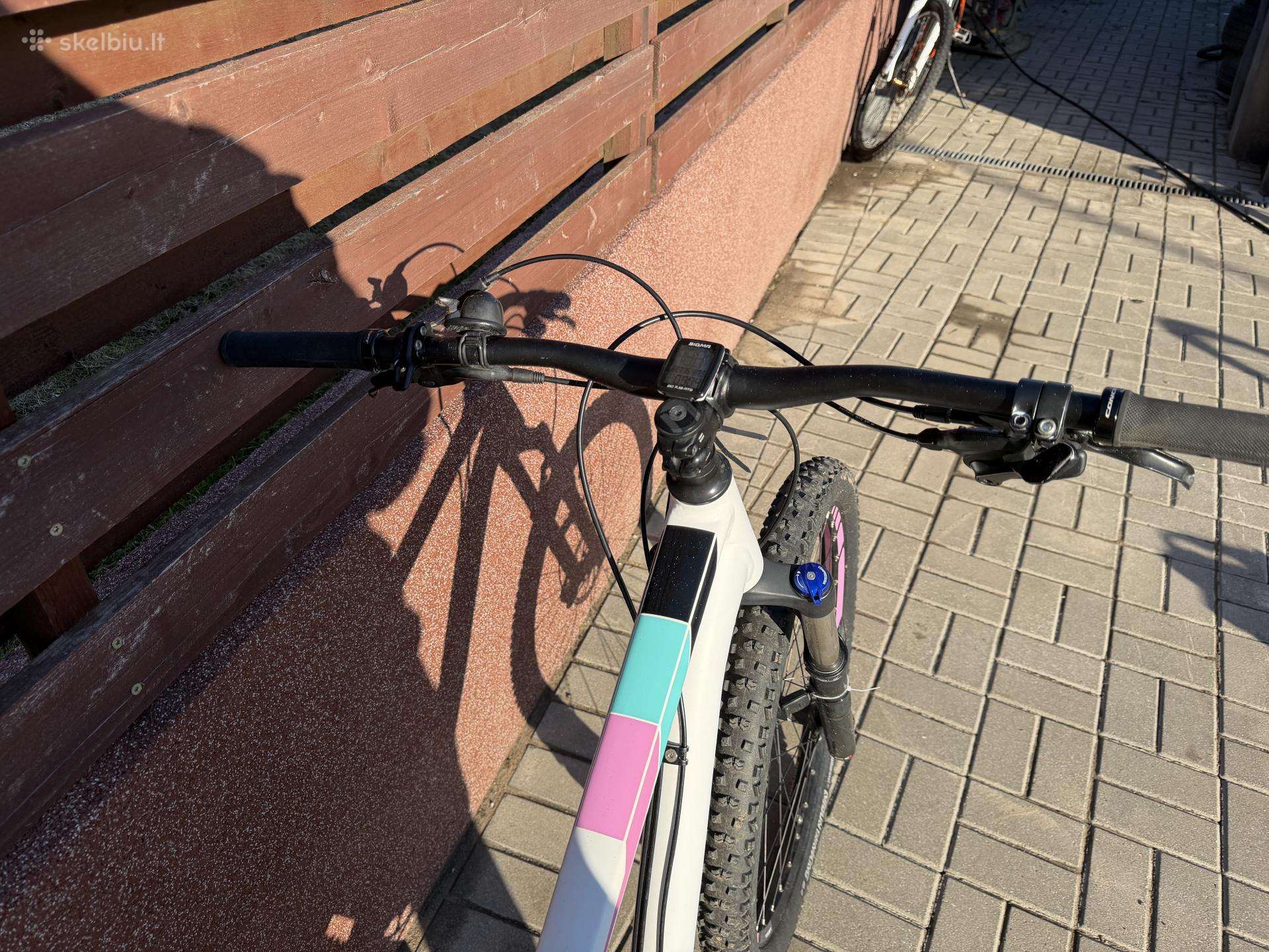 Kalni velosipēds Focus 29″