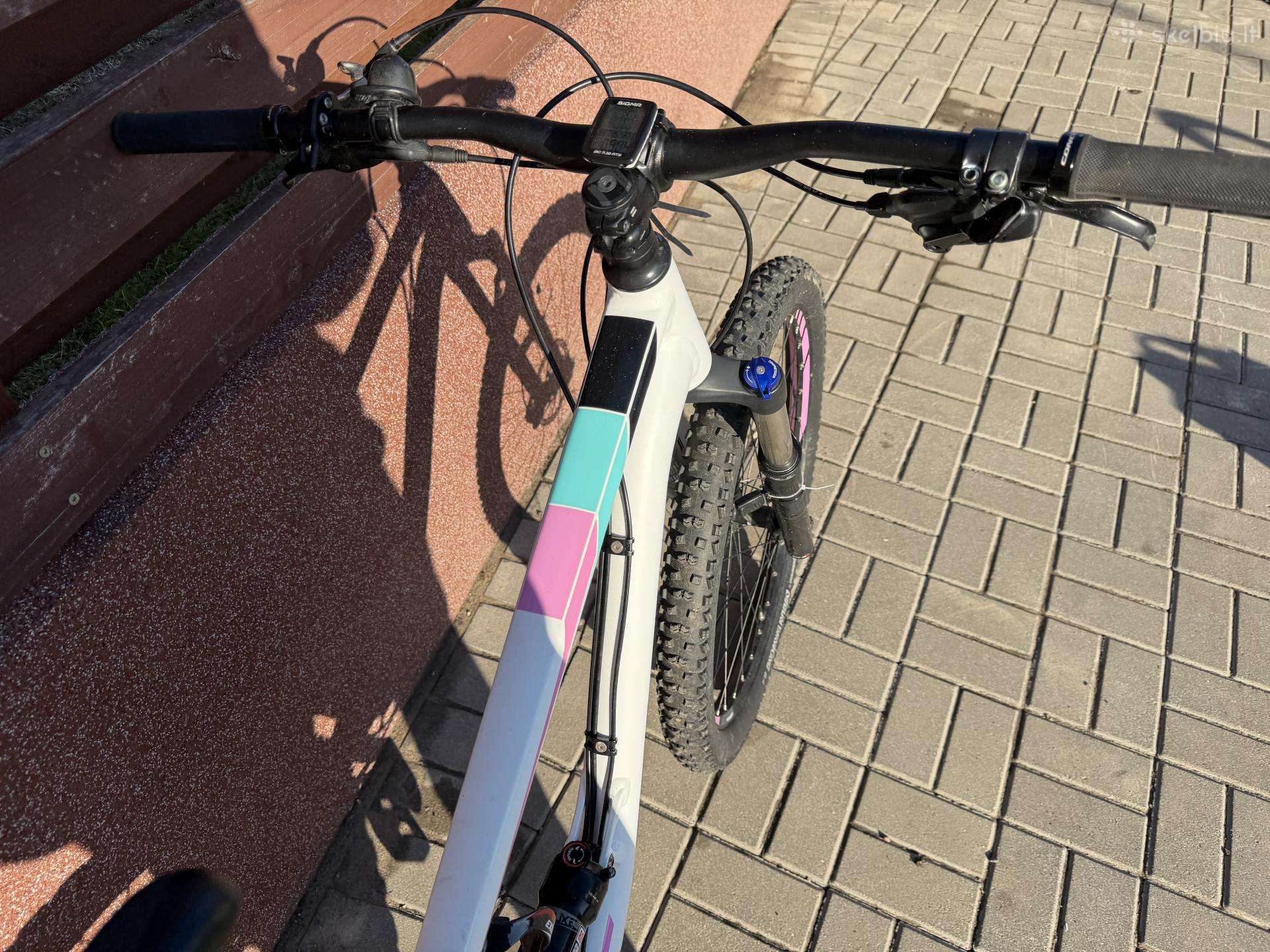 Kalni velosipēds Focus 29″