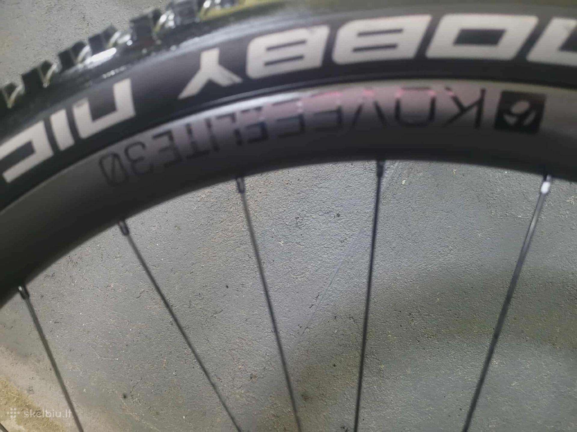 Elektrinis dviratis Trek 29″