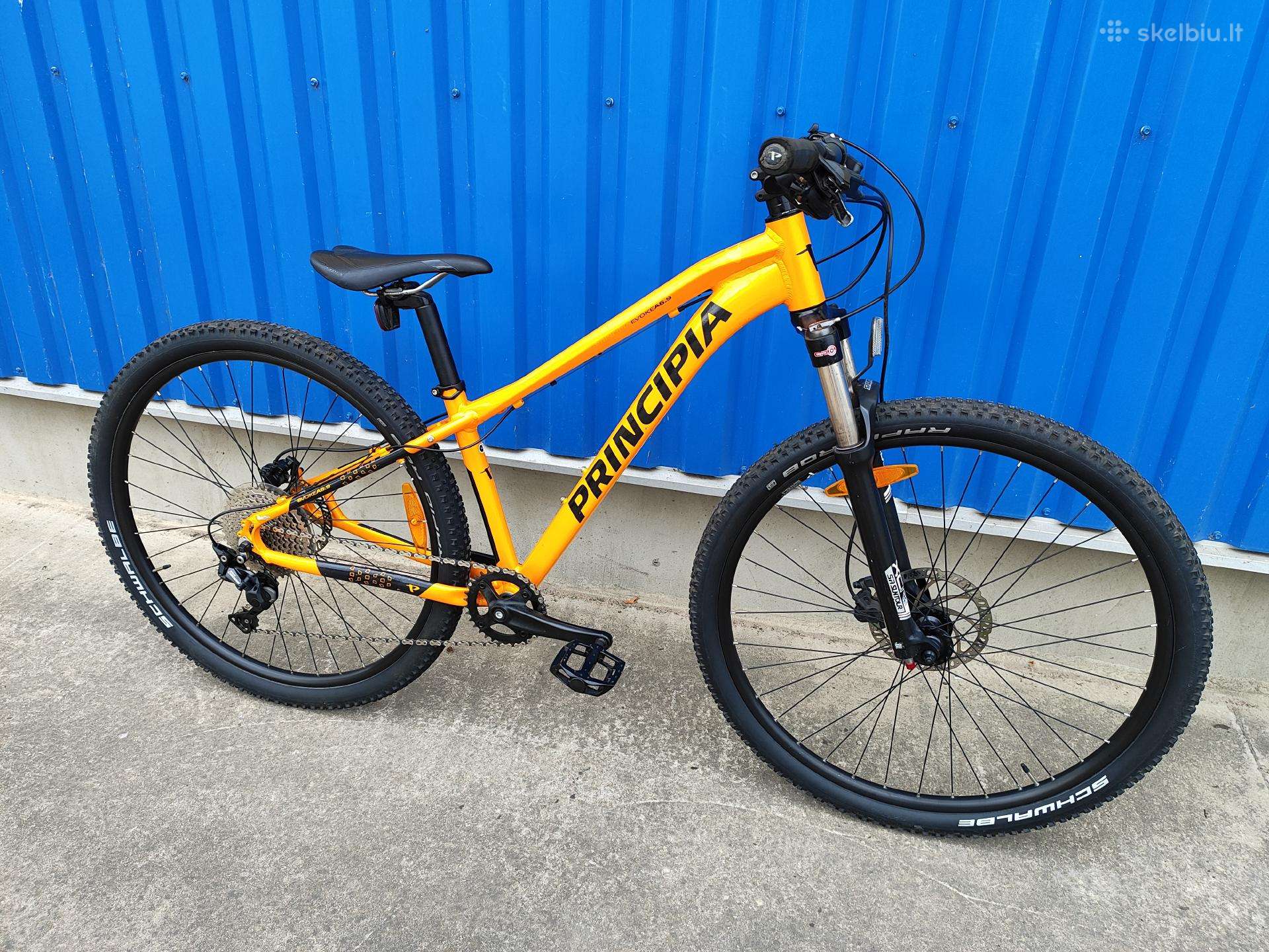 Kalnų dviratis Scott 29″
