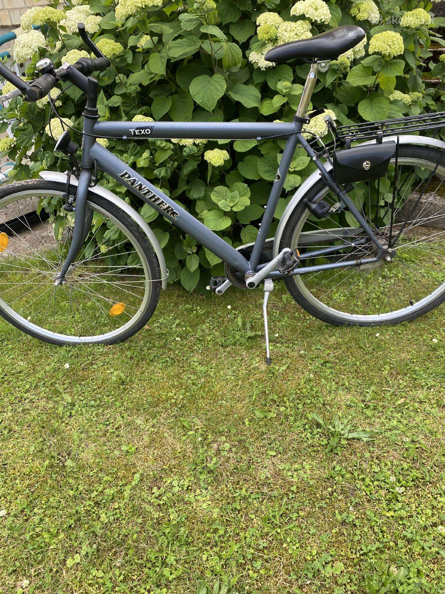 City bike Pelago