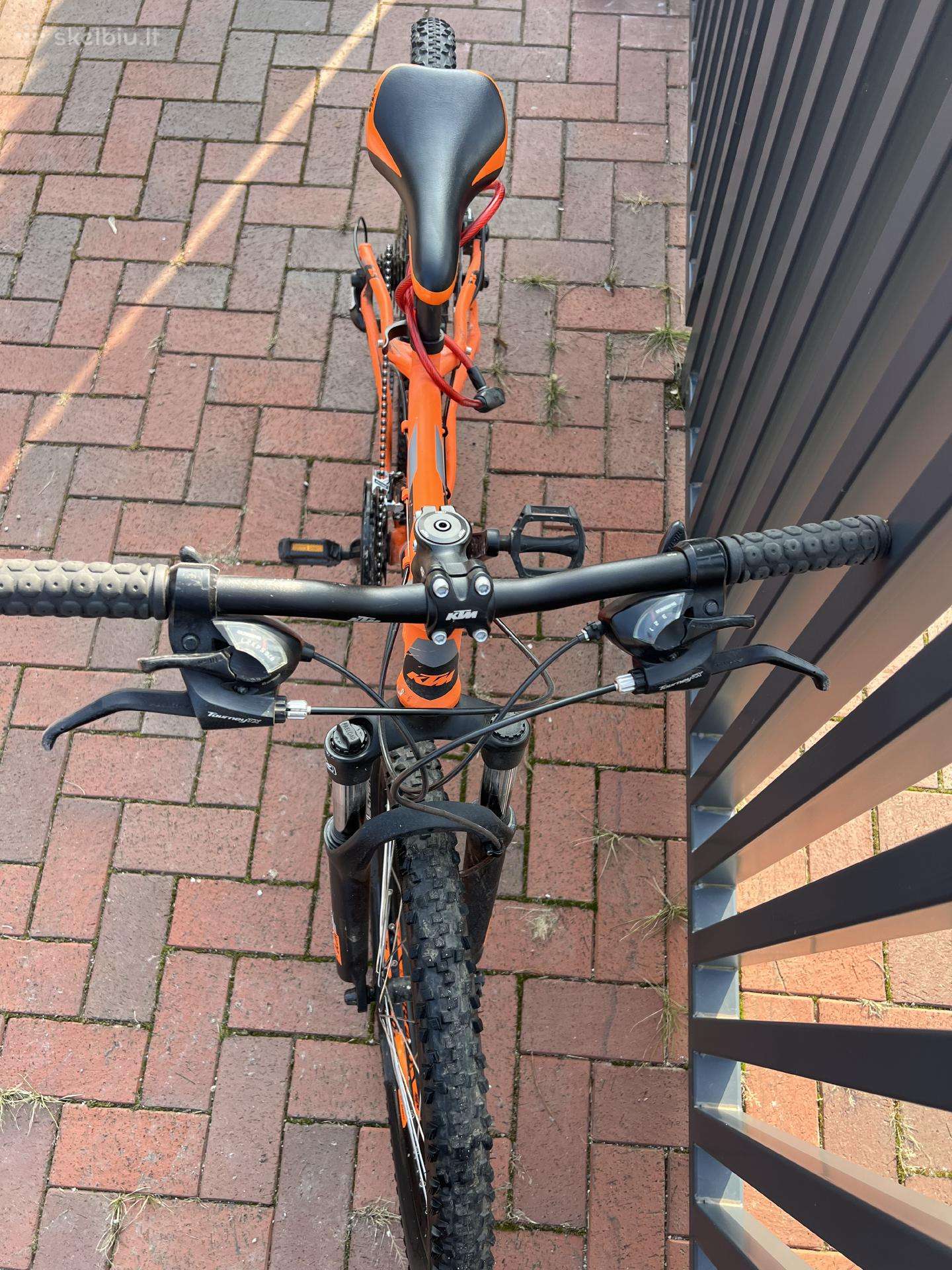 Kalnų dviratis KTM