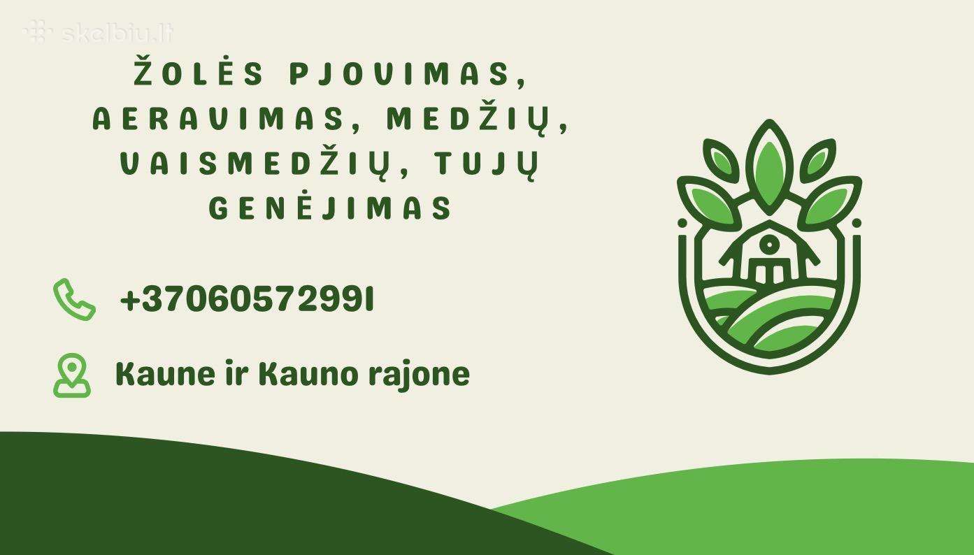 Tujų, Medžių genėjimas, Aeravimas, Žolės pjovimas