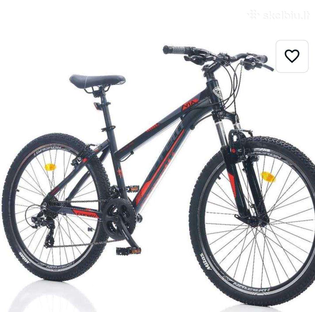 Mountain bike Corelli 24″