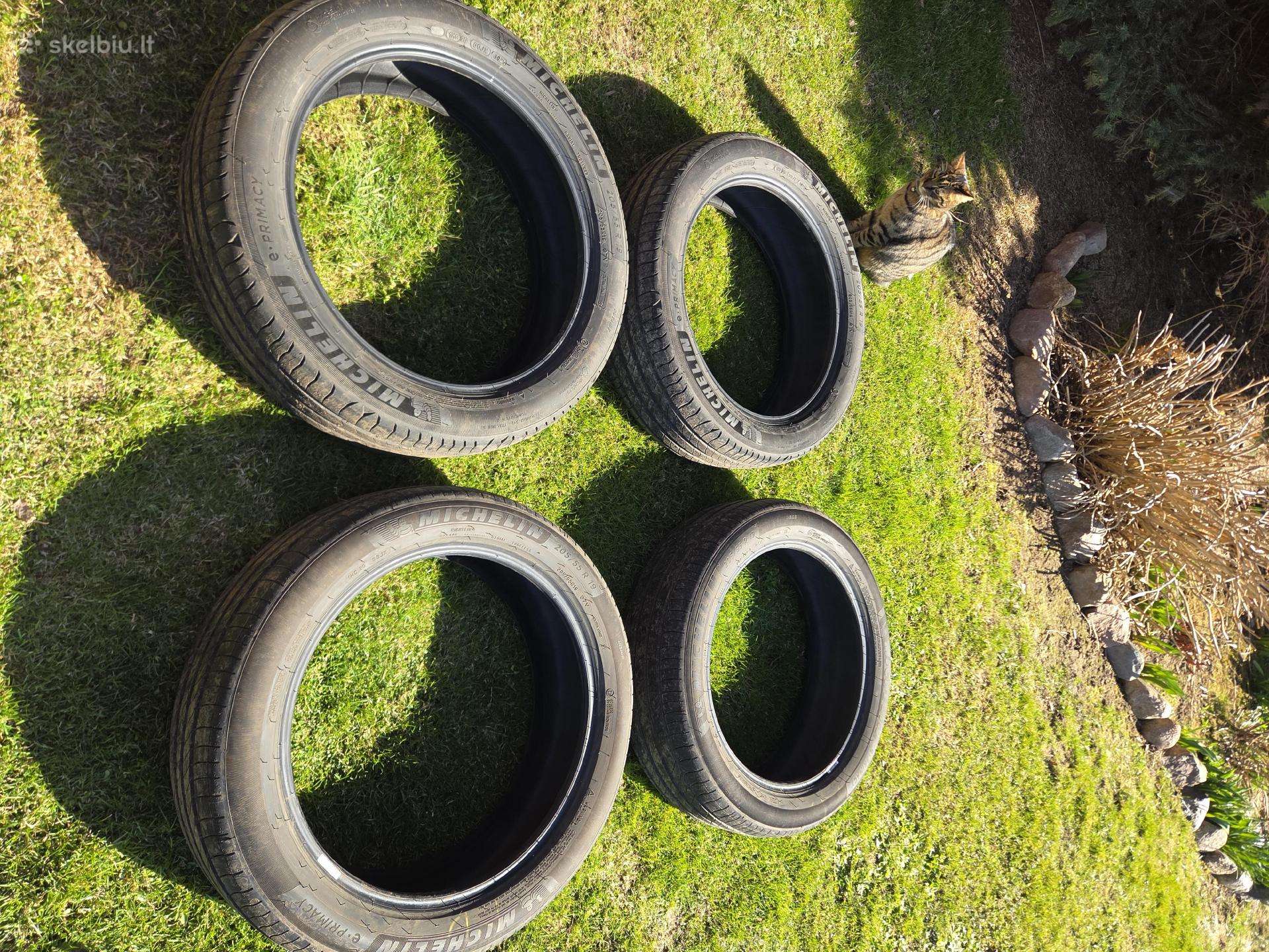 Michelin, летние 205/55 R19