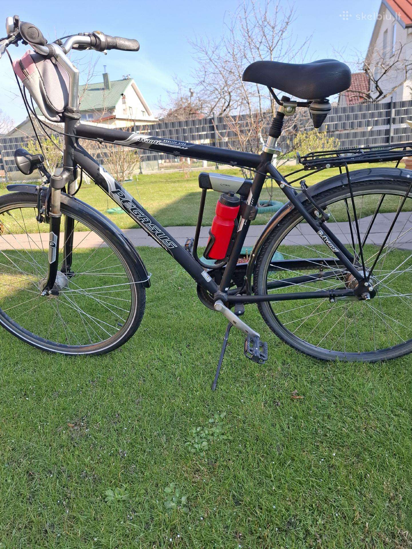 City bike Pegasus