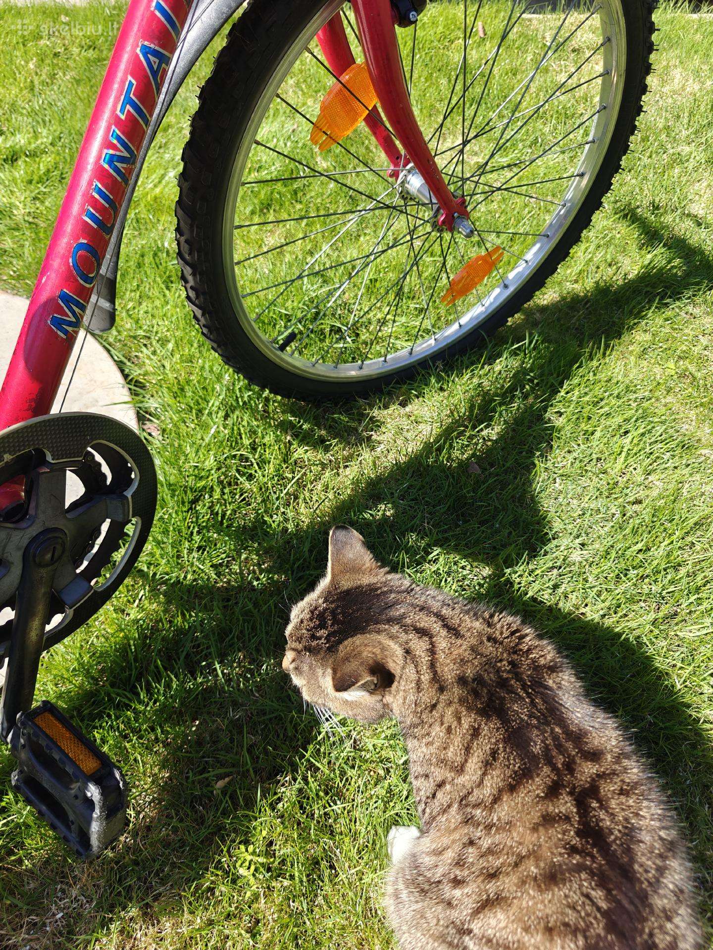 Kid bike -Kita-