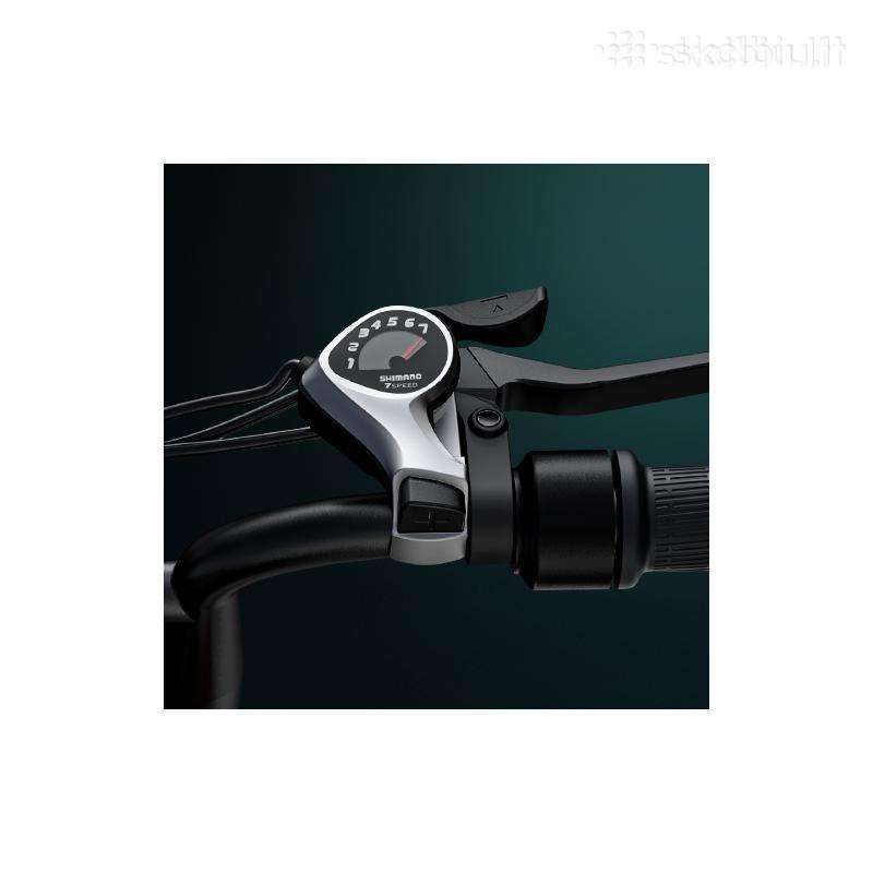 Electric bike Engwe 20″