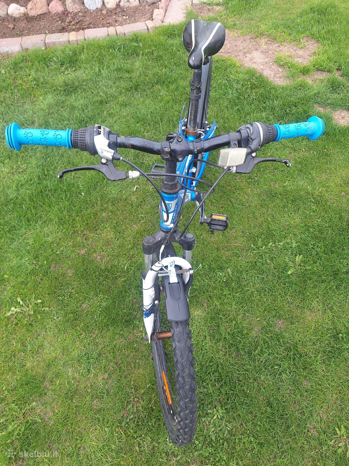 Vaikiškas dviratis Trek 24″