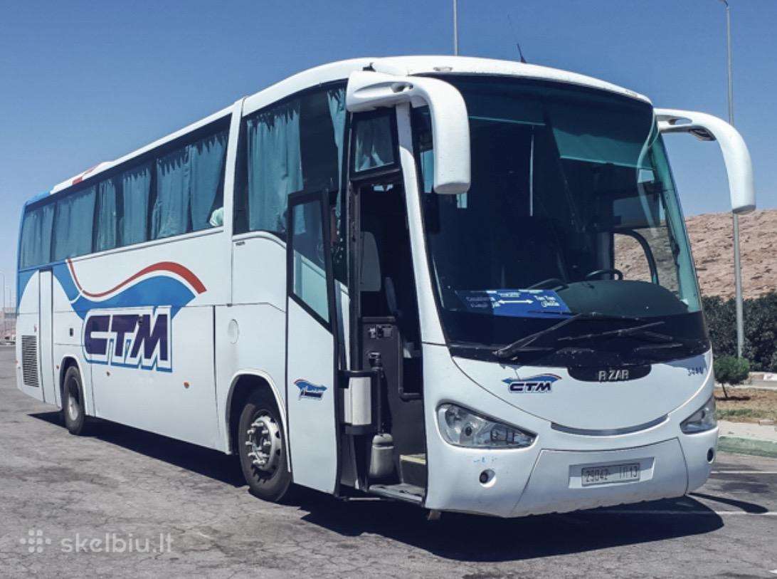 Transporto vadybininkas