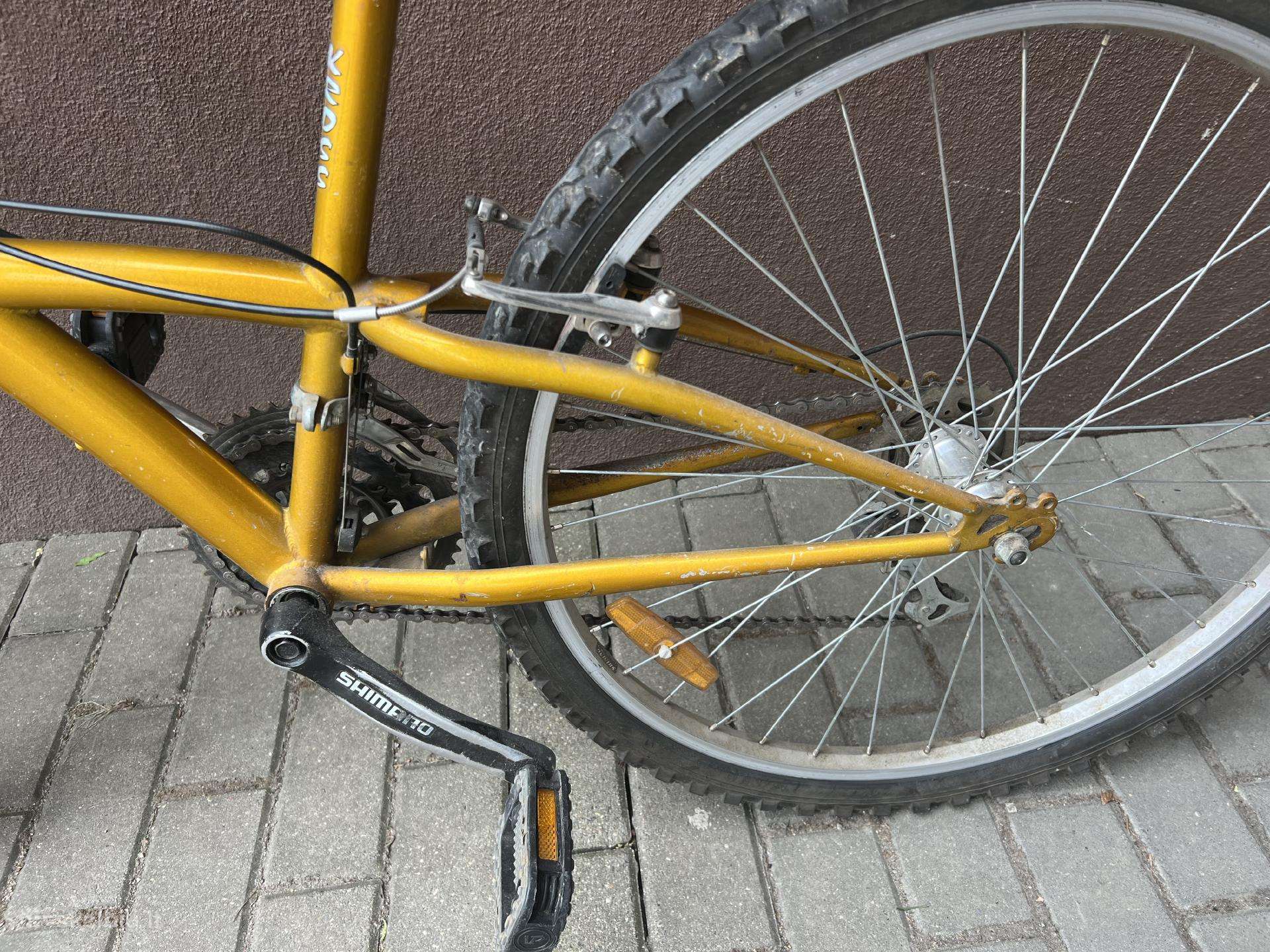 Kid bike Pegasus