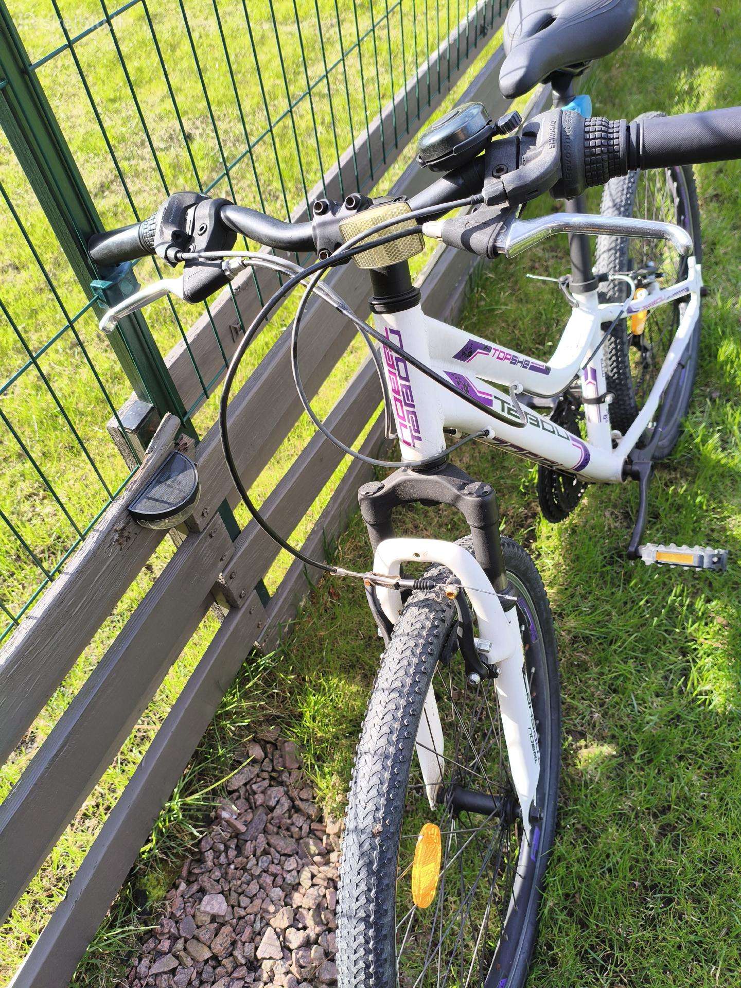 Mountain bike Karbon 24″