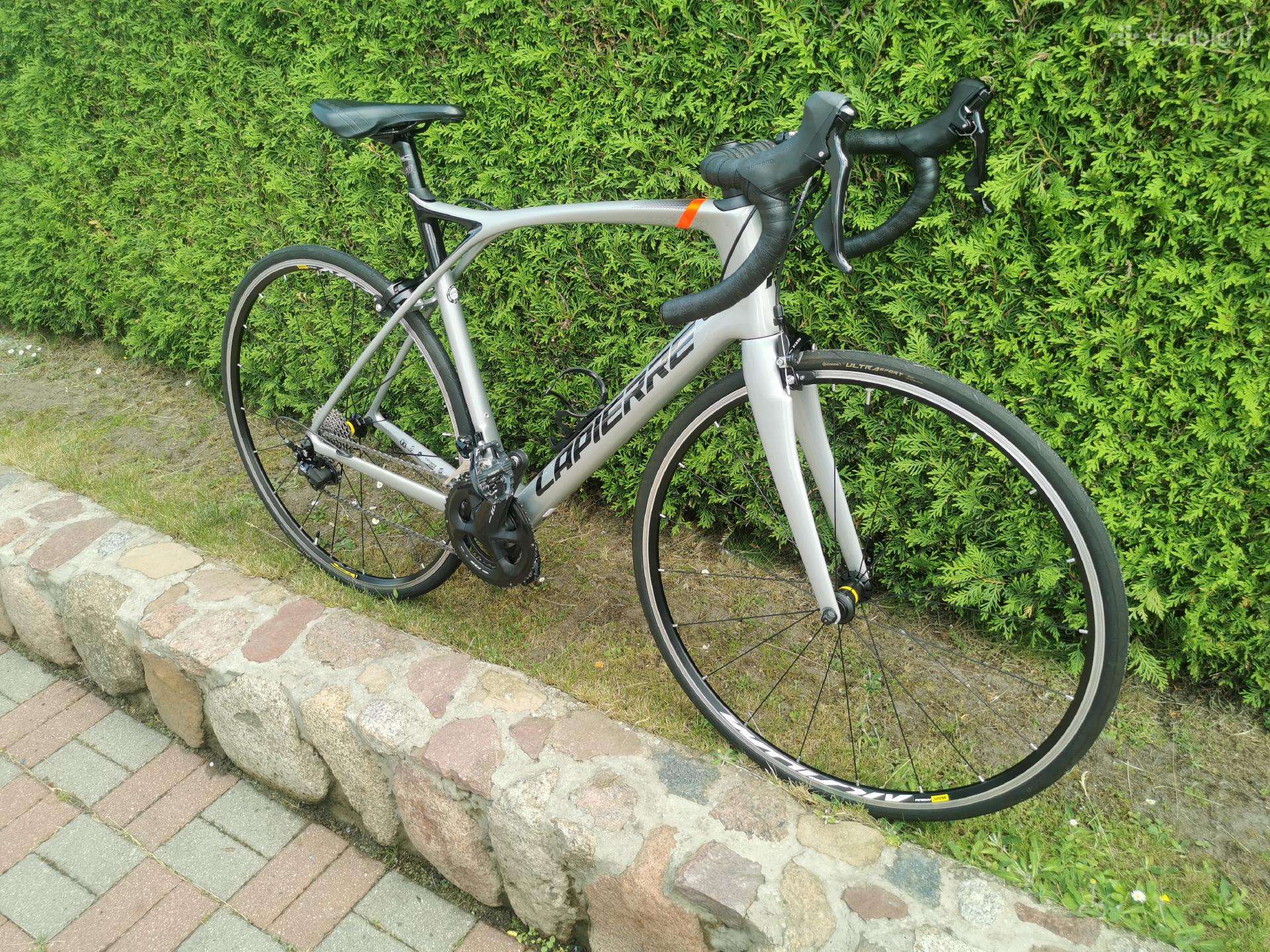 Plento, sportinis dviratis Lapierre