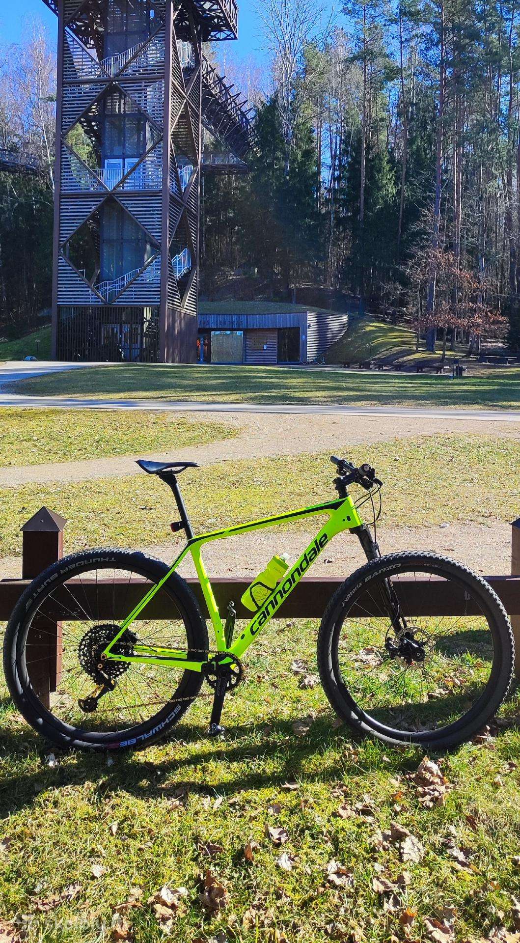 Kalnų dviratis Cannondale 29″