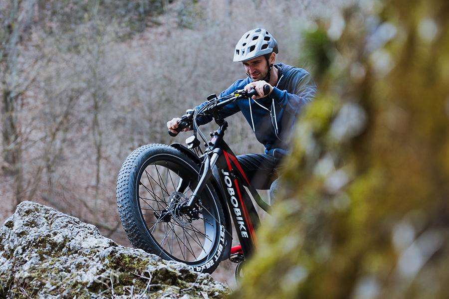 Elektrinis dviratis Jobobike 26″