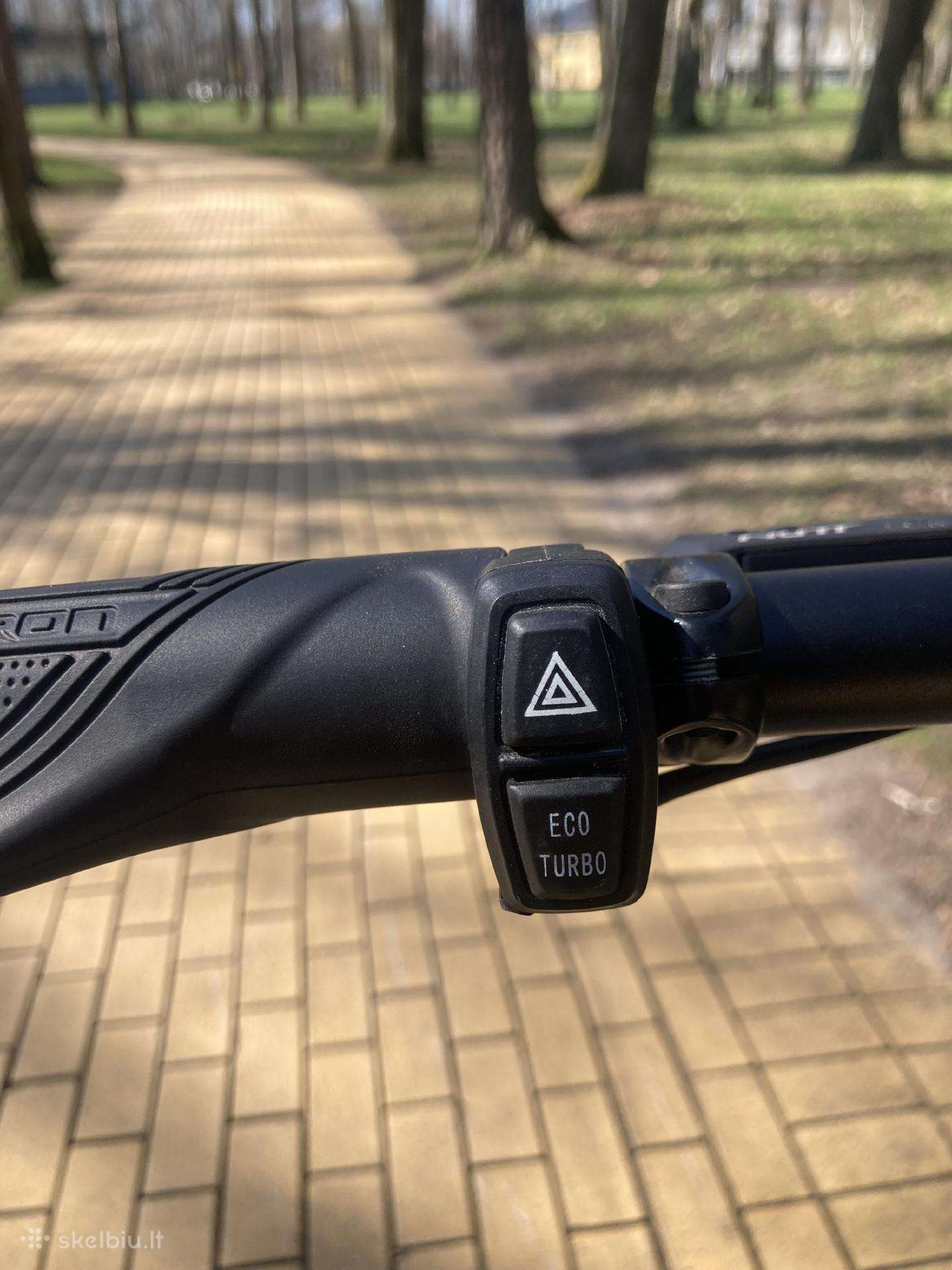 Electric scooter Dualtron