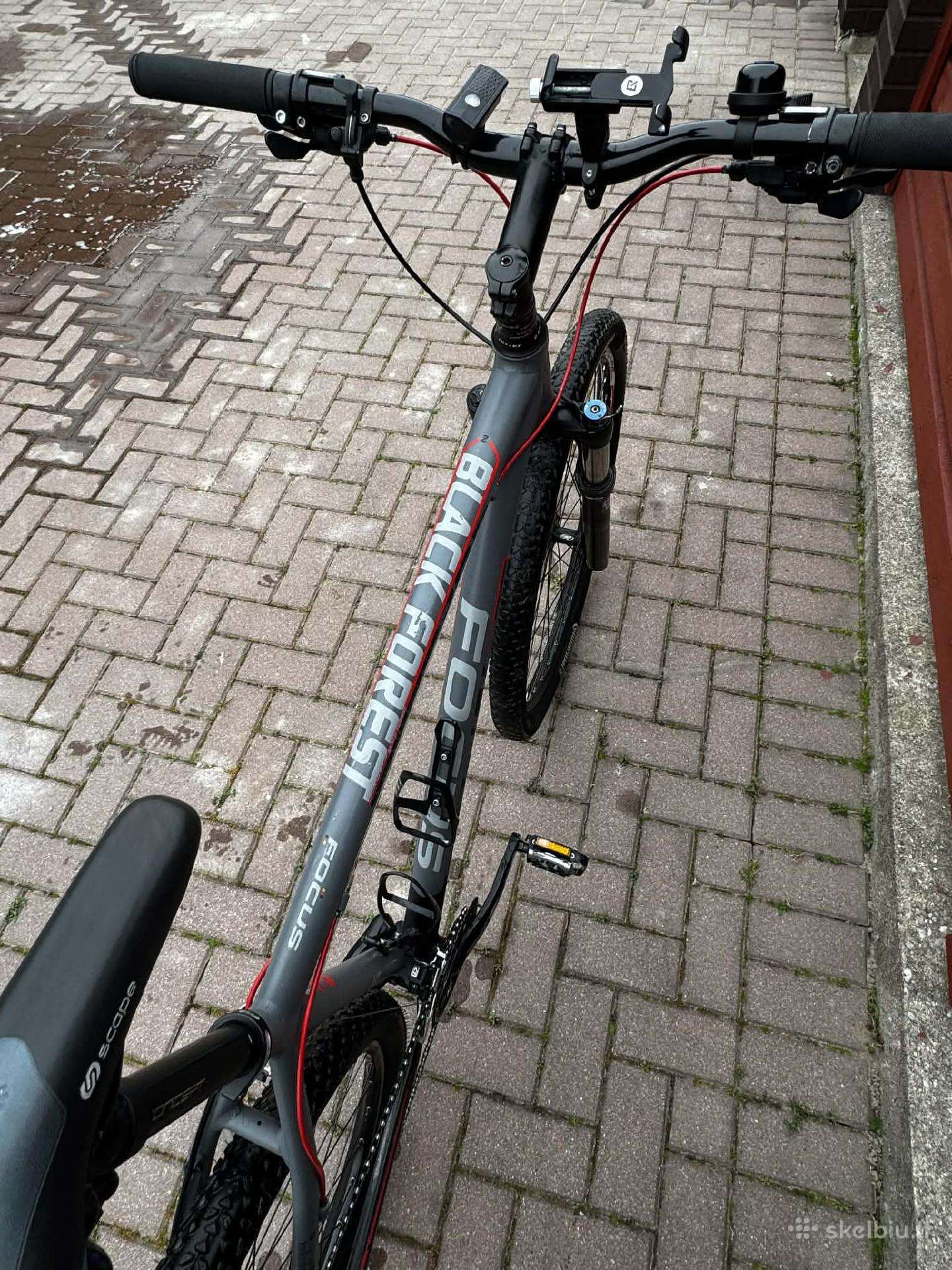 Mountain bike Focus 29″