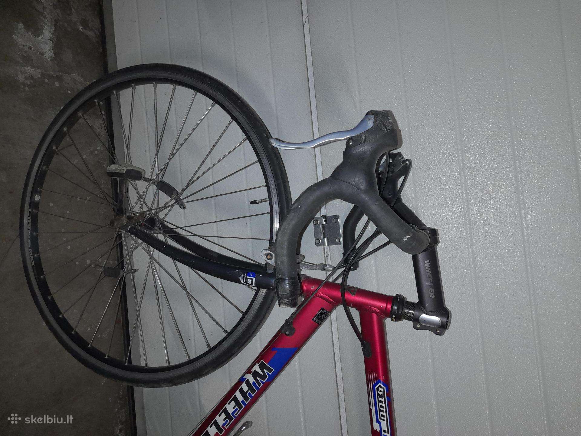 Plento, sportinis dviratis Bianchi