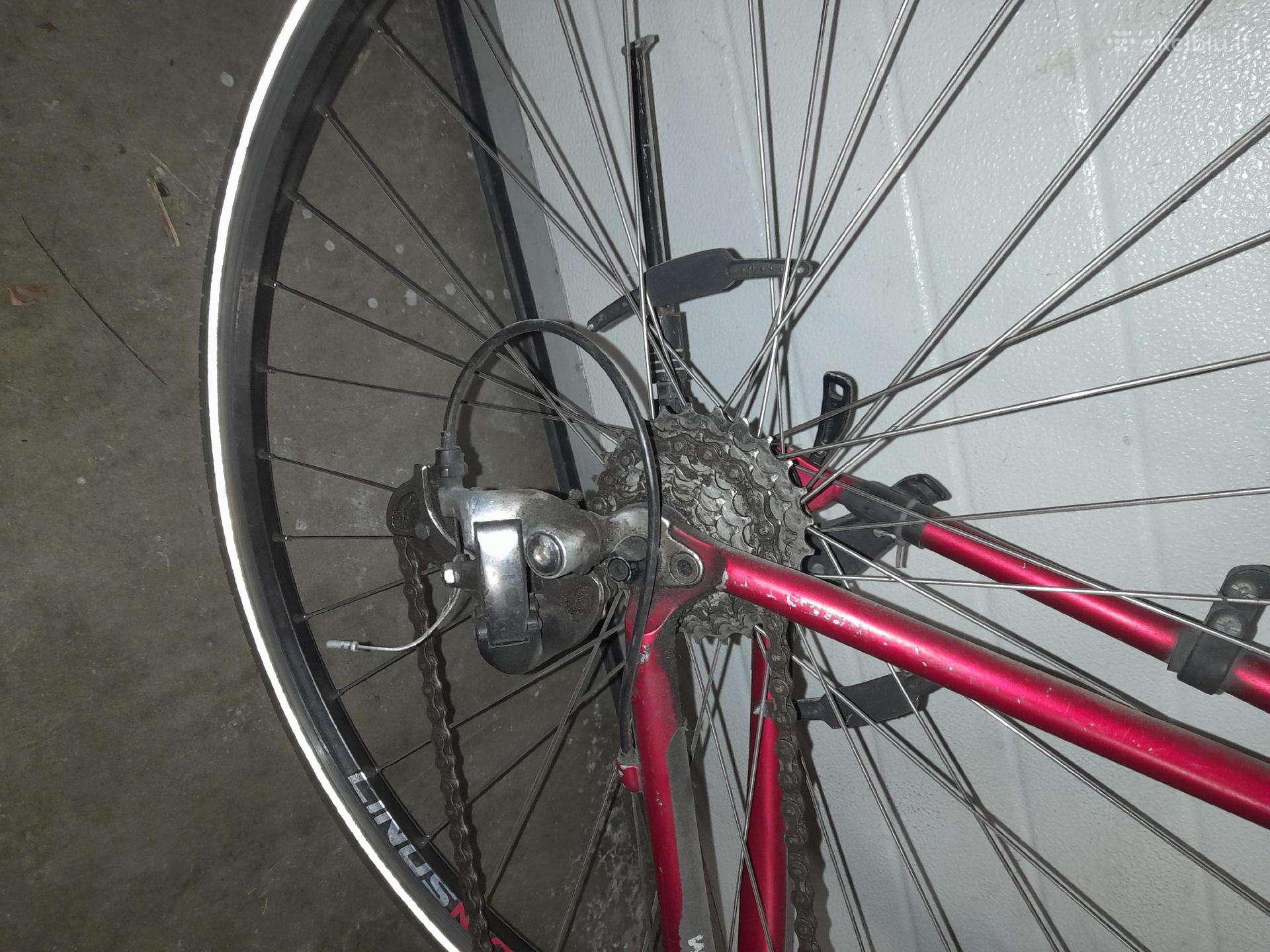 Plento, sportinis dviratis Bianchi