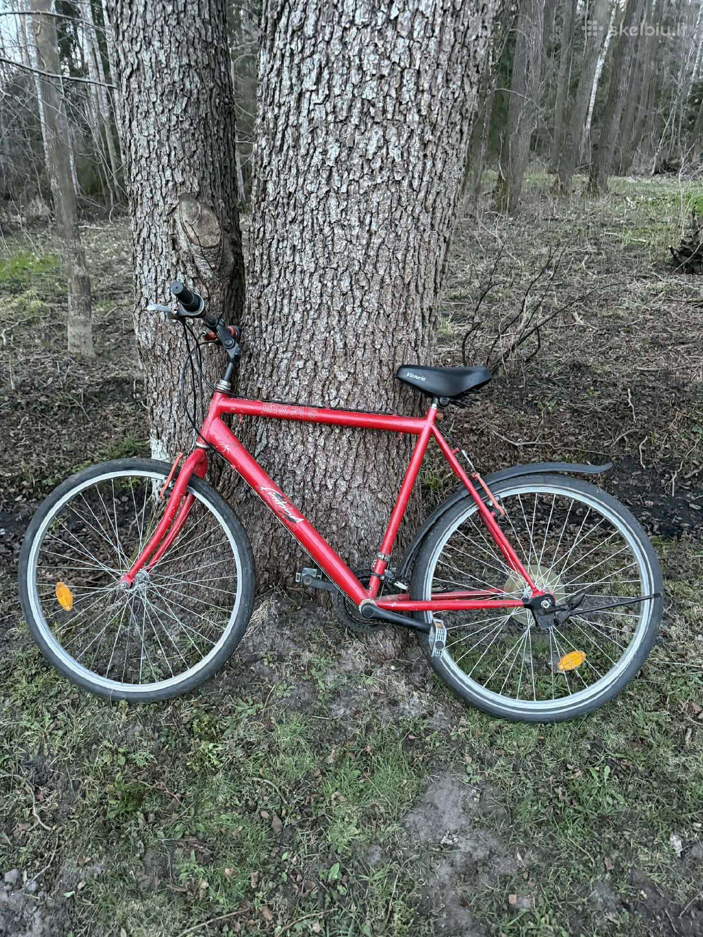 Mountain bike -Kita-