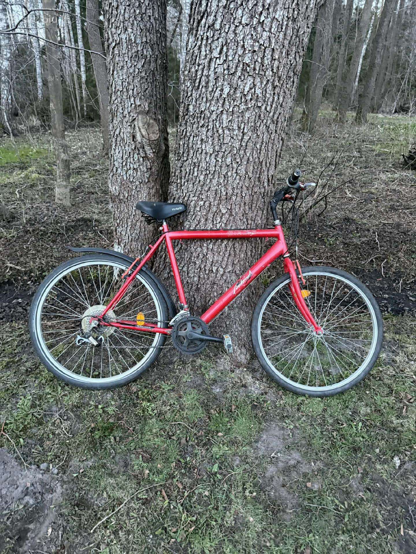 Mountain bike -Kita-