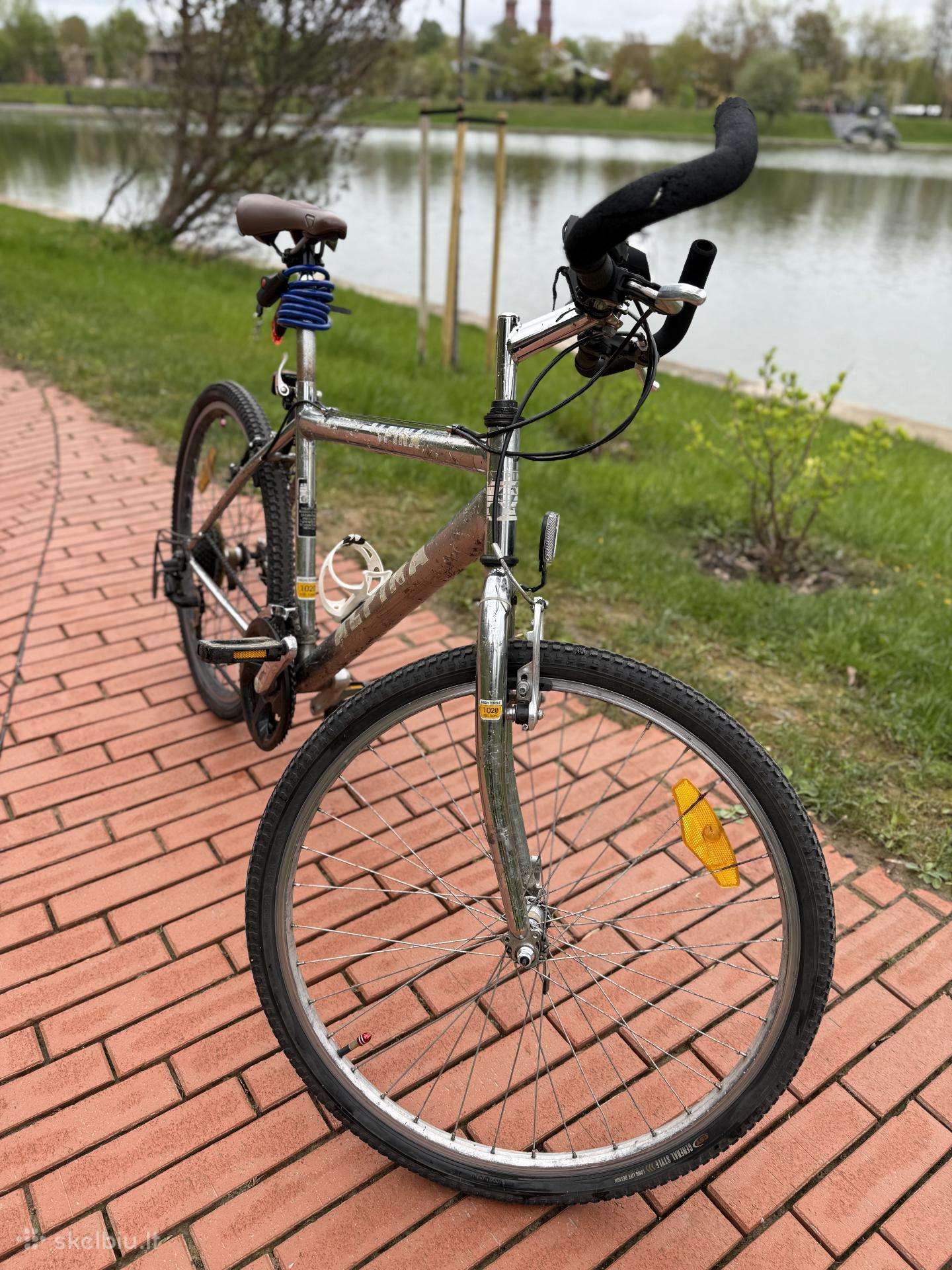 Hibridinis dviratis Alpina 26″
