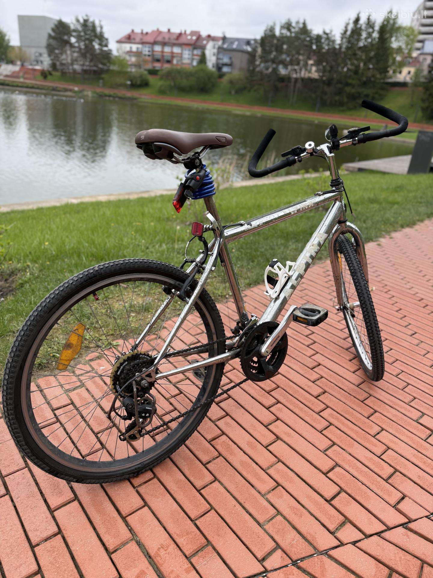 Hibridinis dviratis Alpina 26″