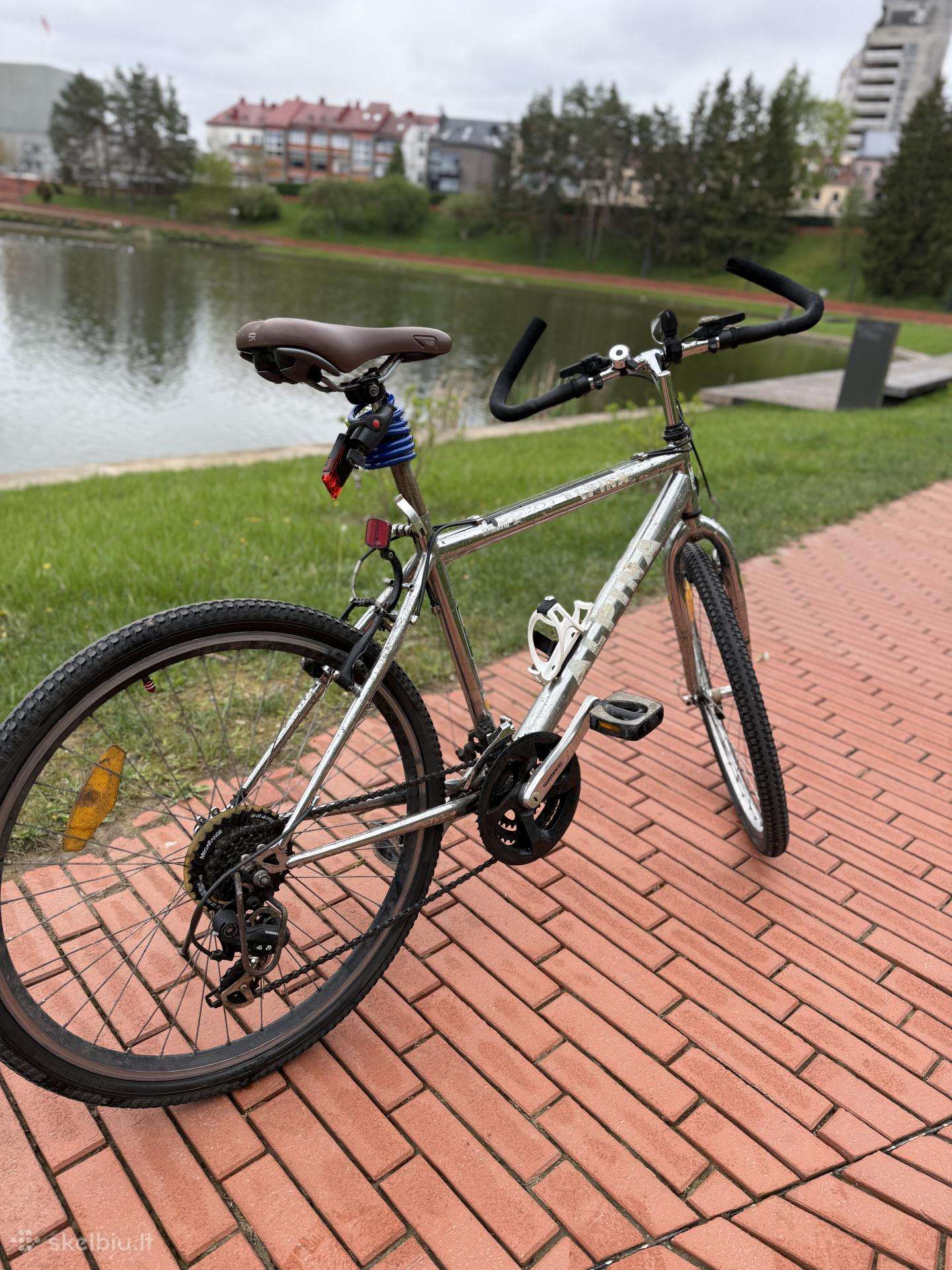Hibridinis dviratis Alpina 26″