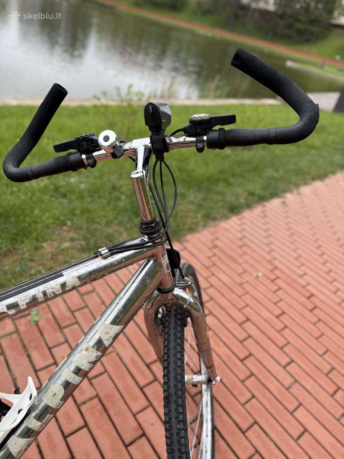 Hibridinis dviratis Alpina 26″
