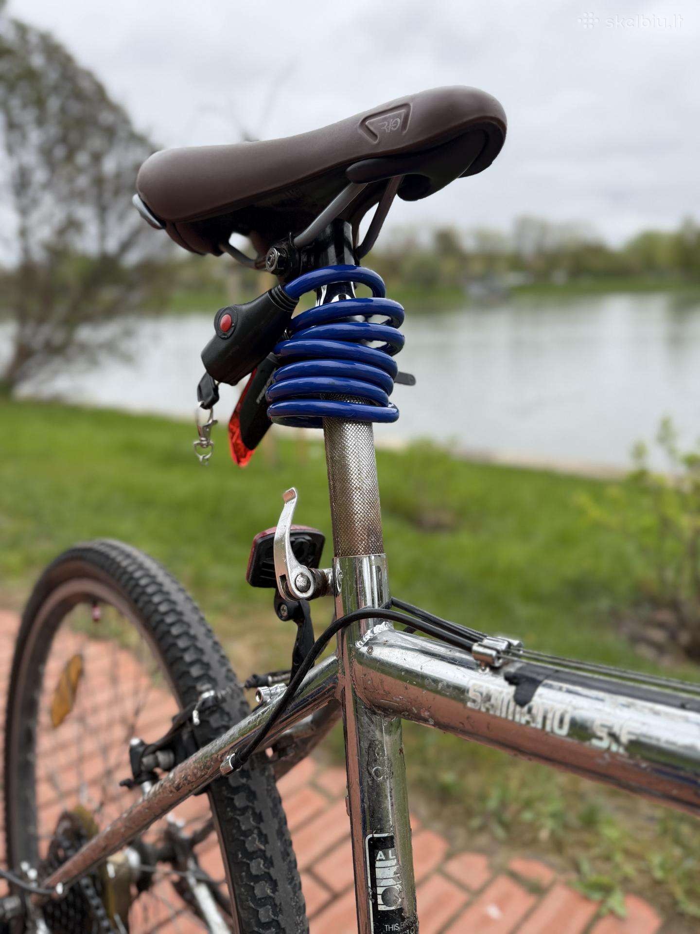 Hibridinis dviratis Alpina 26″