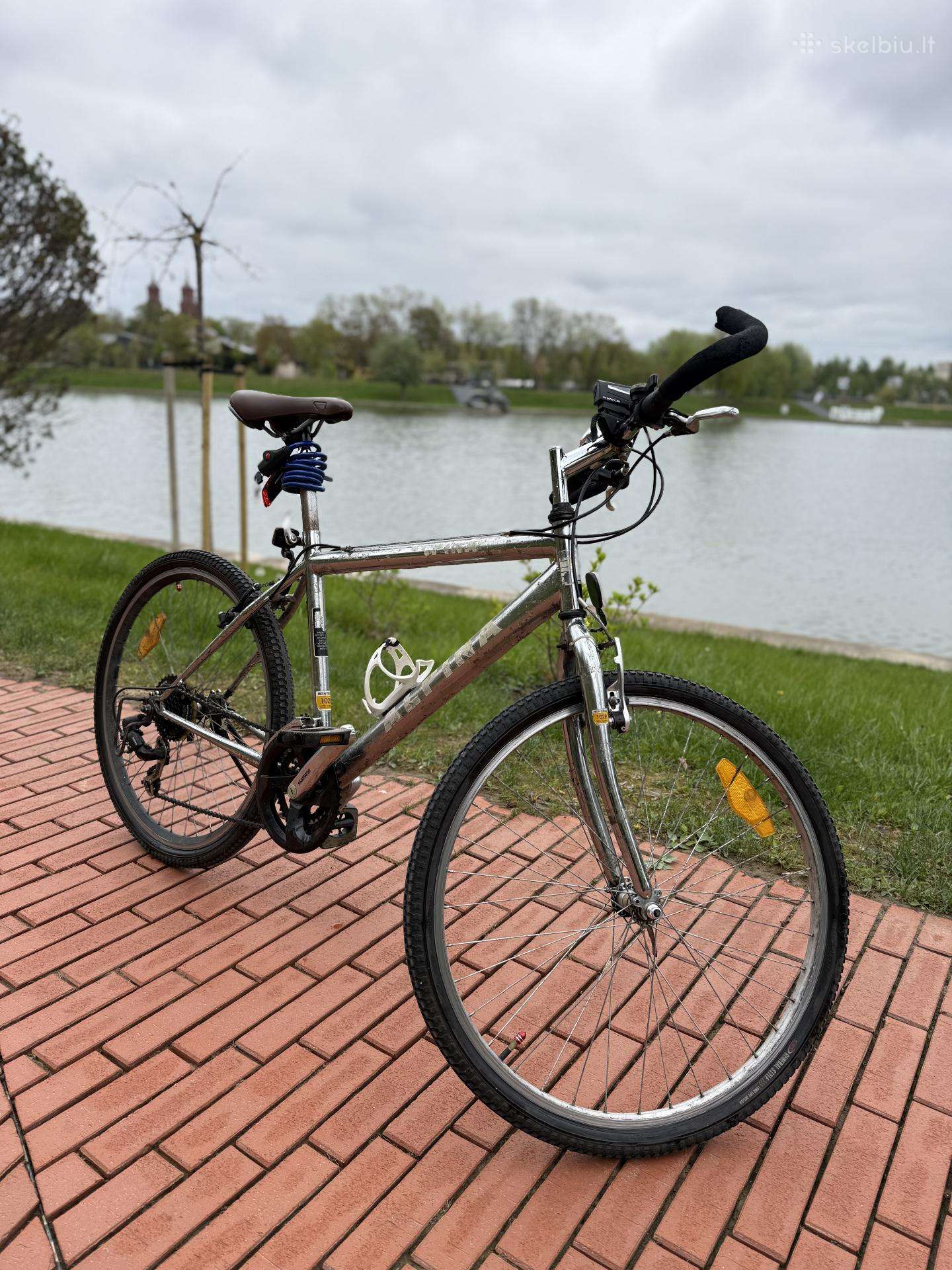 Hibridinis dviratis Alpina 26″