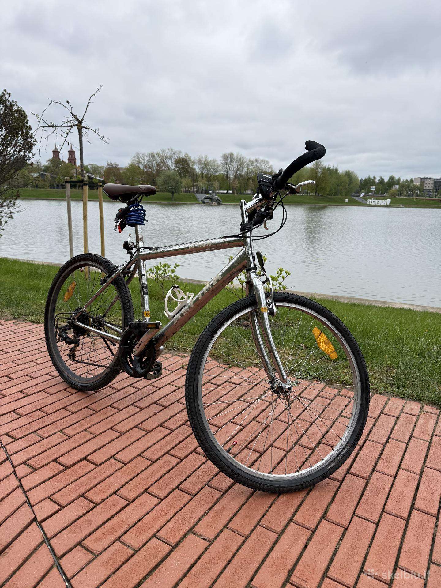 Hibridinis dviratis Alpina 26″