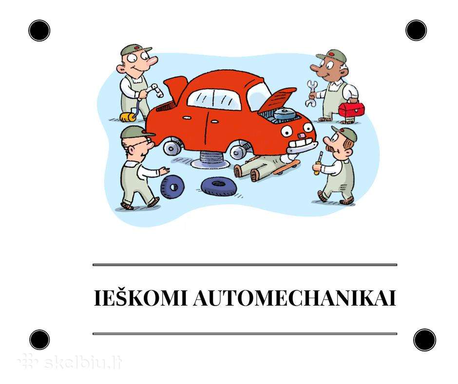 Automechanikas Domeikavoje