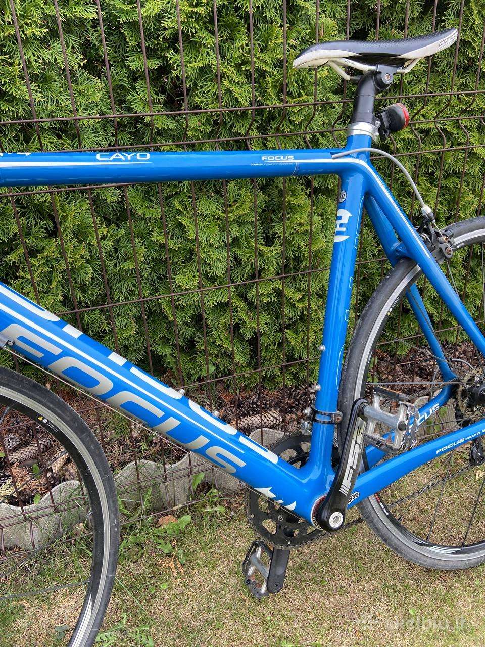 Plento, sportinis dviratis Focus 28″