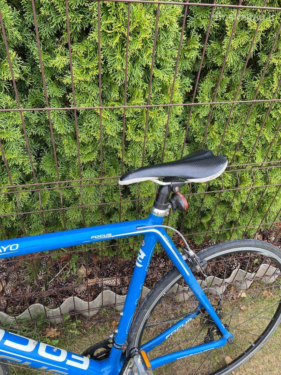 Plento, sportinis dviratis Focus 28″
