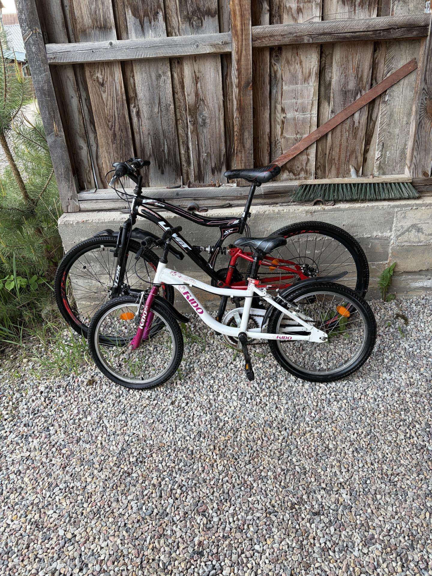 Bērnu velosipēds Riding Times