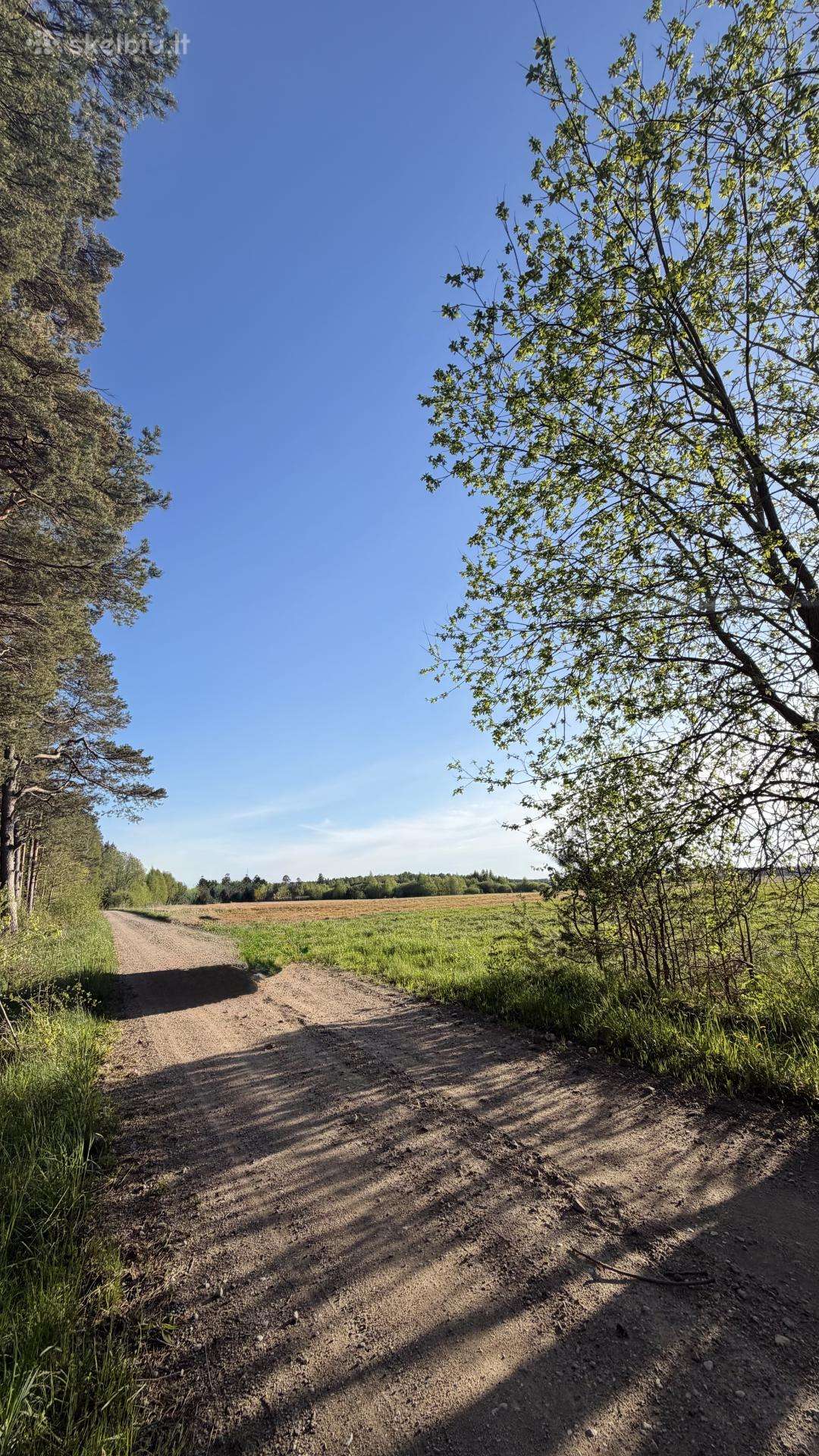 Parduodamas sklypas 0,54 lazdininkai šalia misko