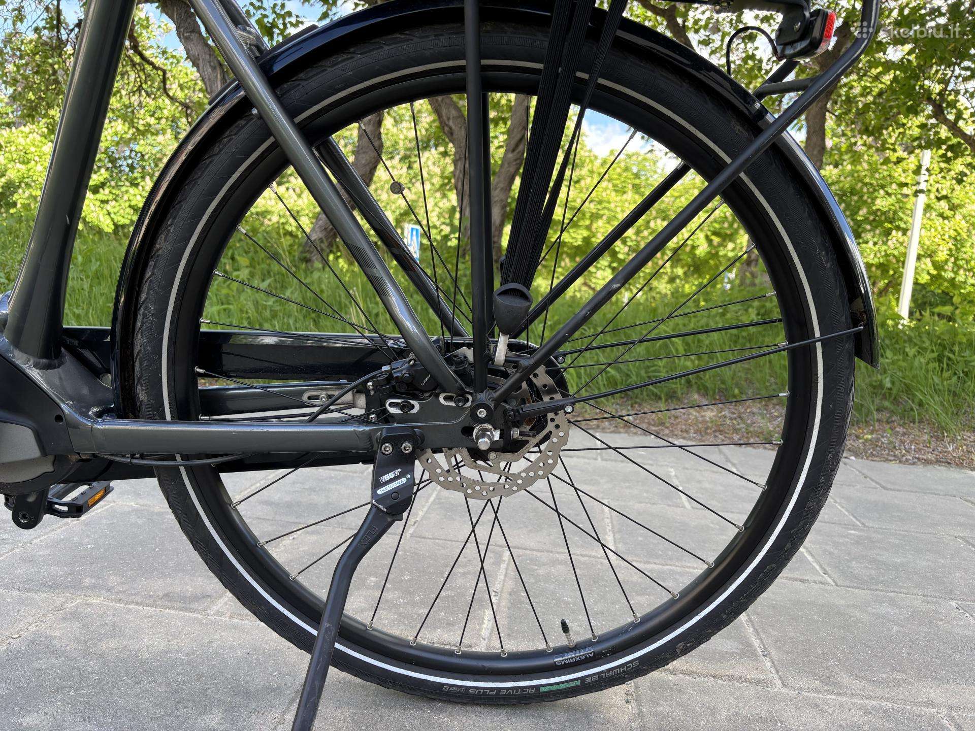 Elektrinis dviratis Trek 28″