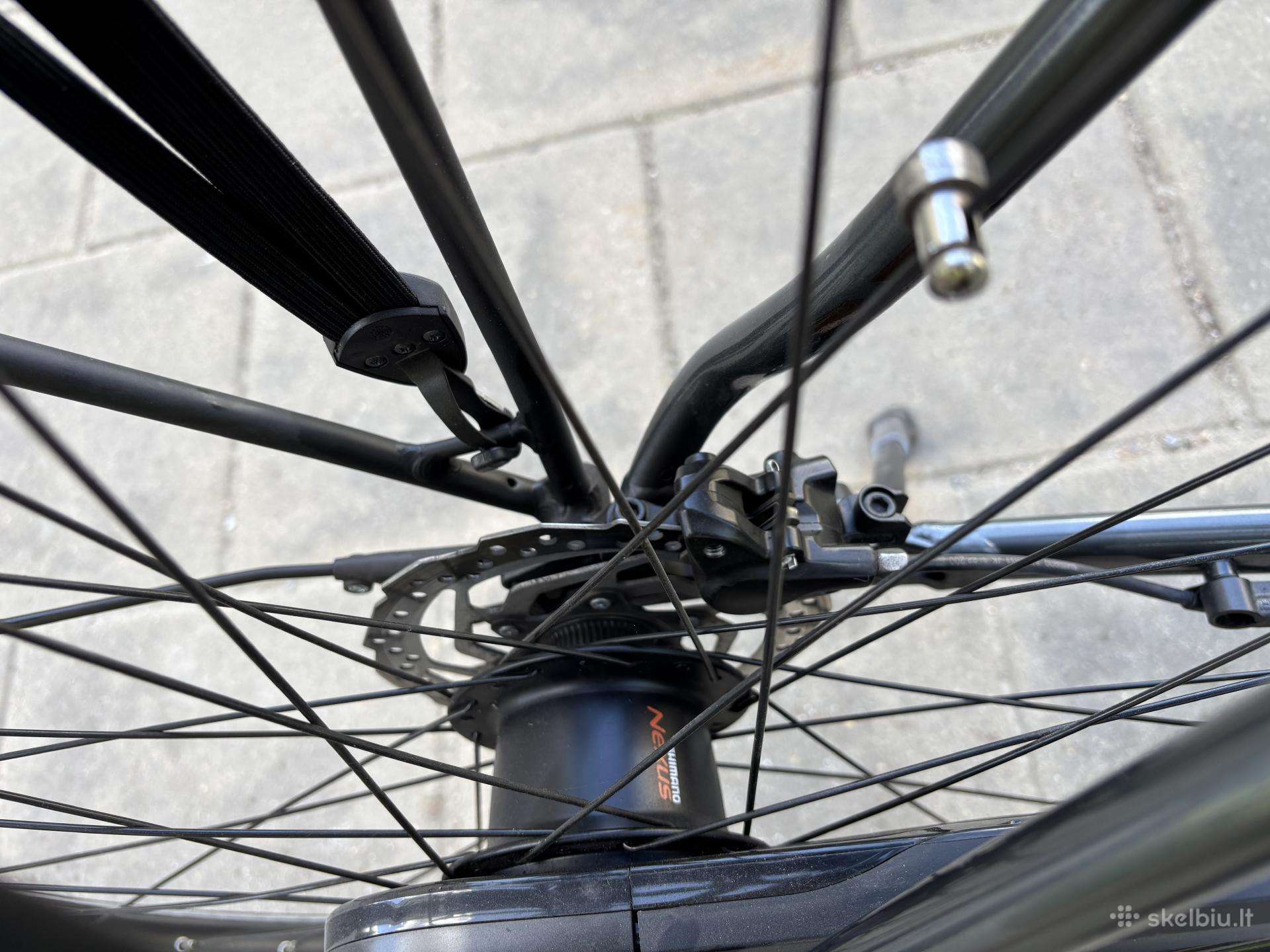 Elektrinis dviratis Trek 28″