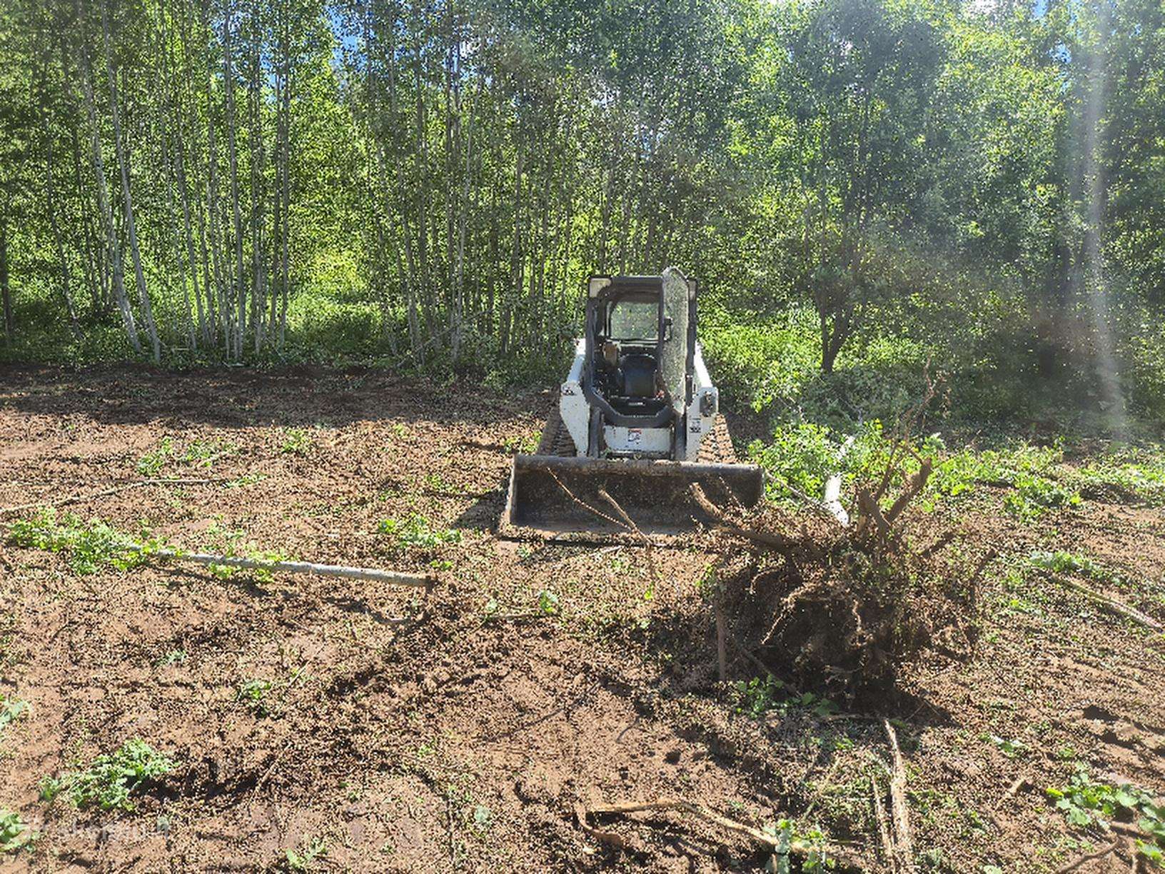 Bobcat 550, statybos transporto nuoma