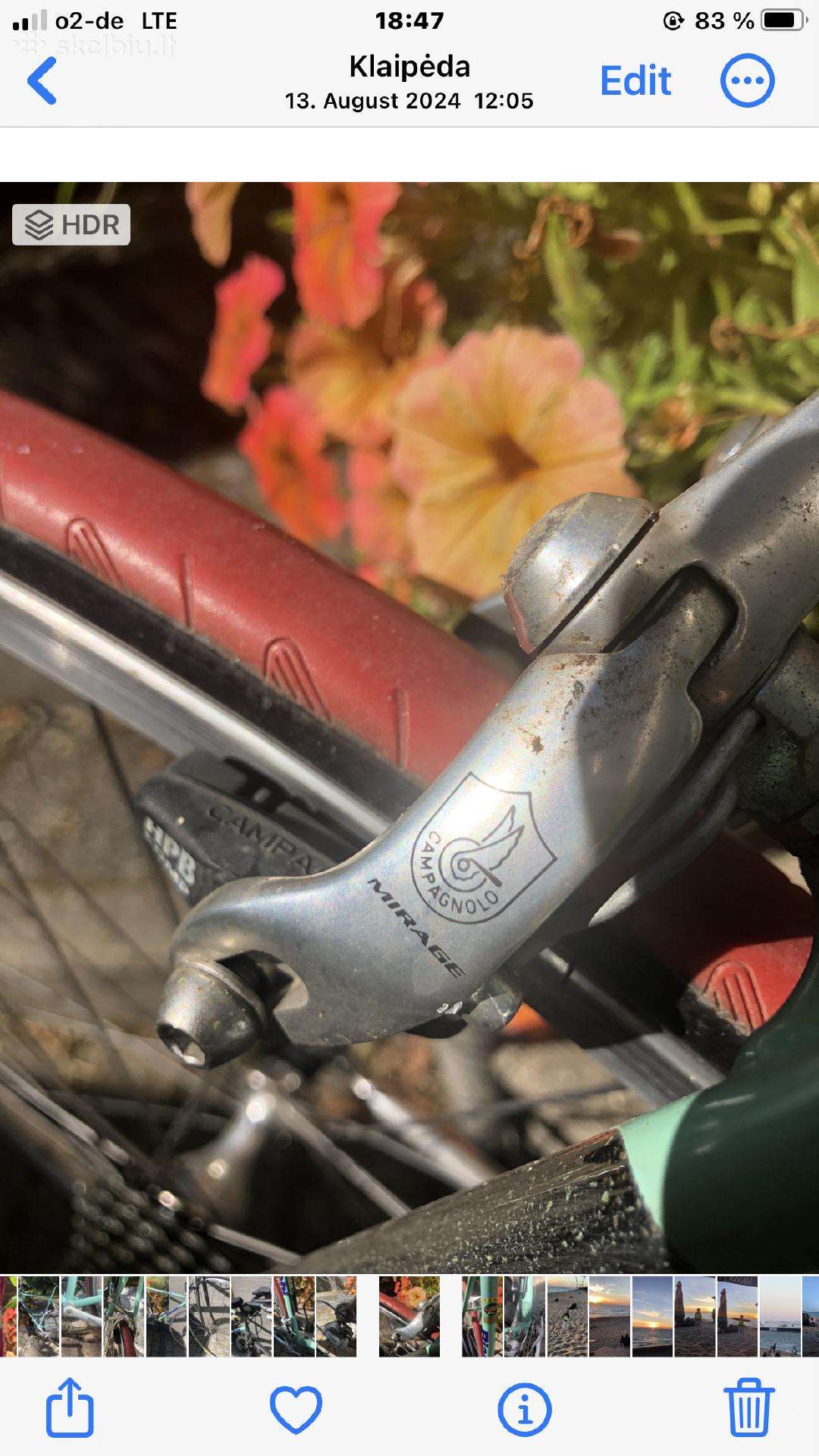 Plento, sportinis dviratis Bianchi