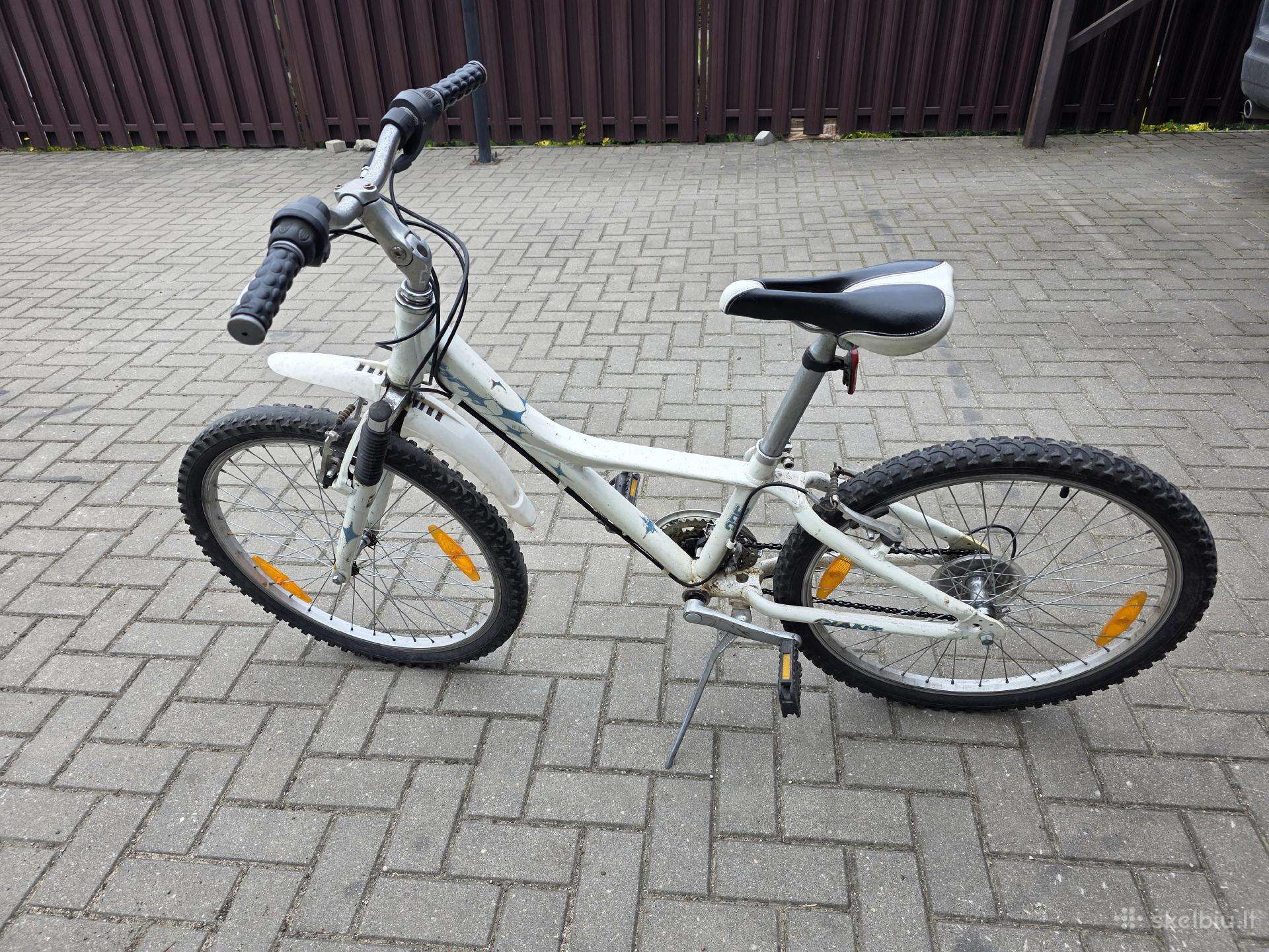Kalnų dviratis Giant 26″