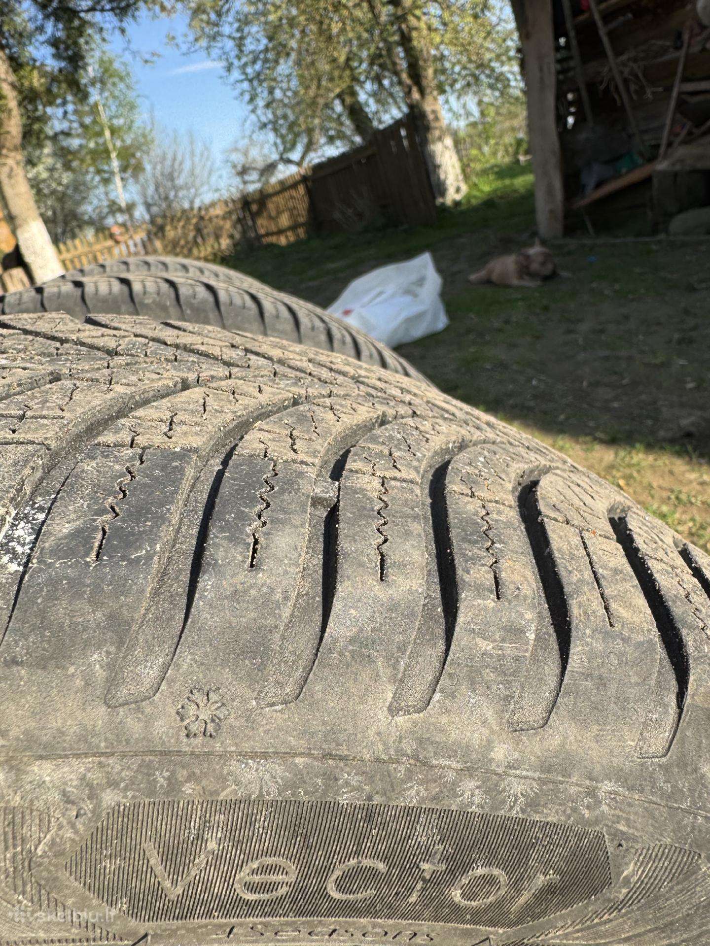 Goodyear, всесезонные 205/55 R16
