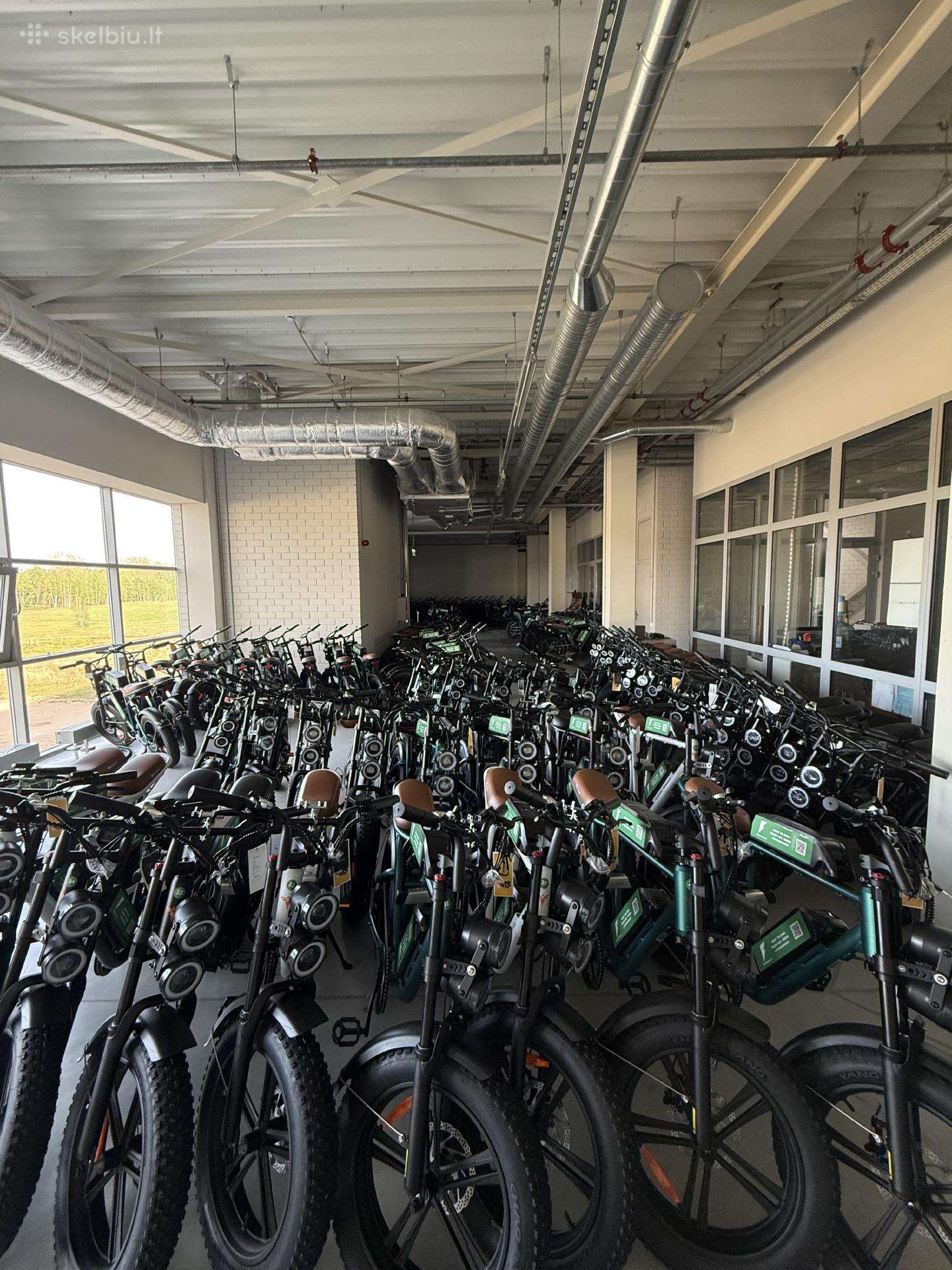 Electric bike Engwe