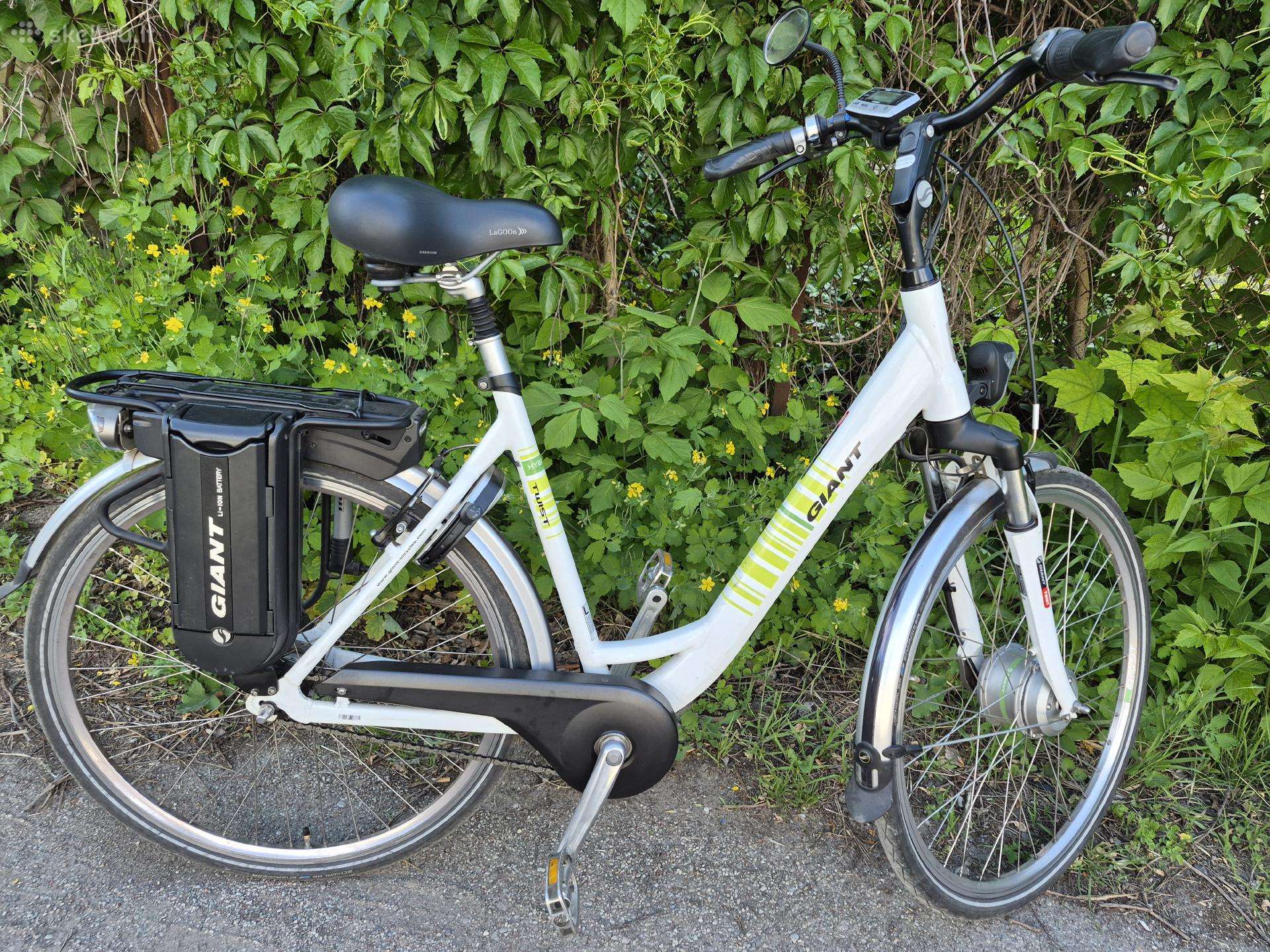 City bike EcoBike