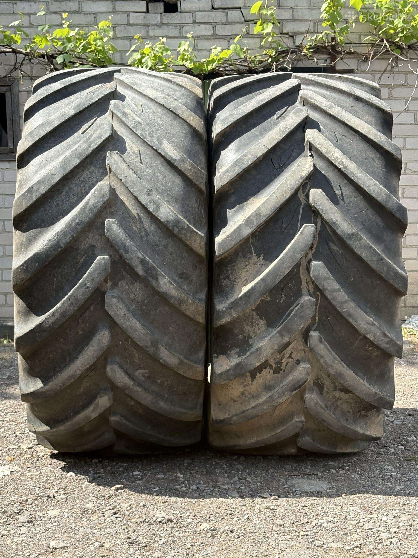 Michelin