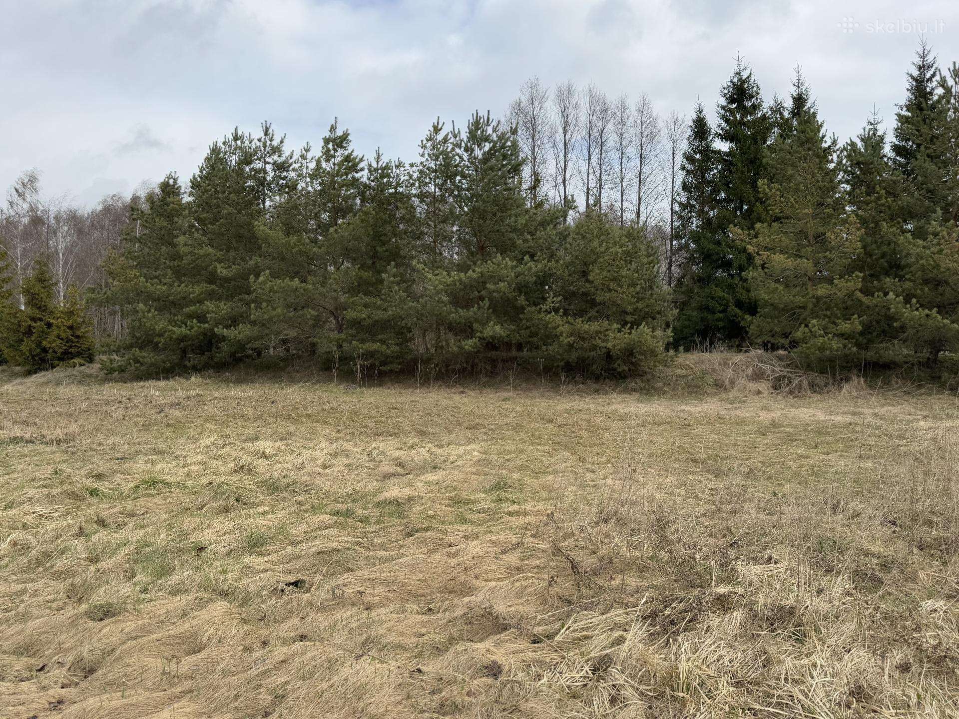 Sklypas sodų bendrijoje “stiklas 8,5 aro