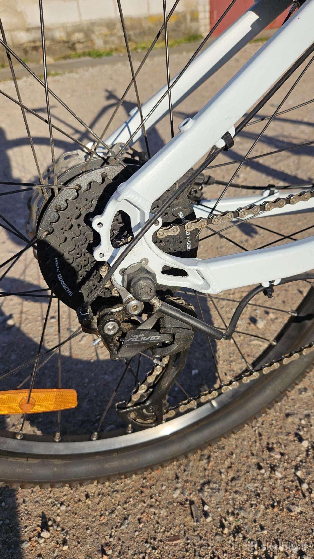 Electric bike EcoBike 26″