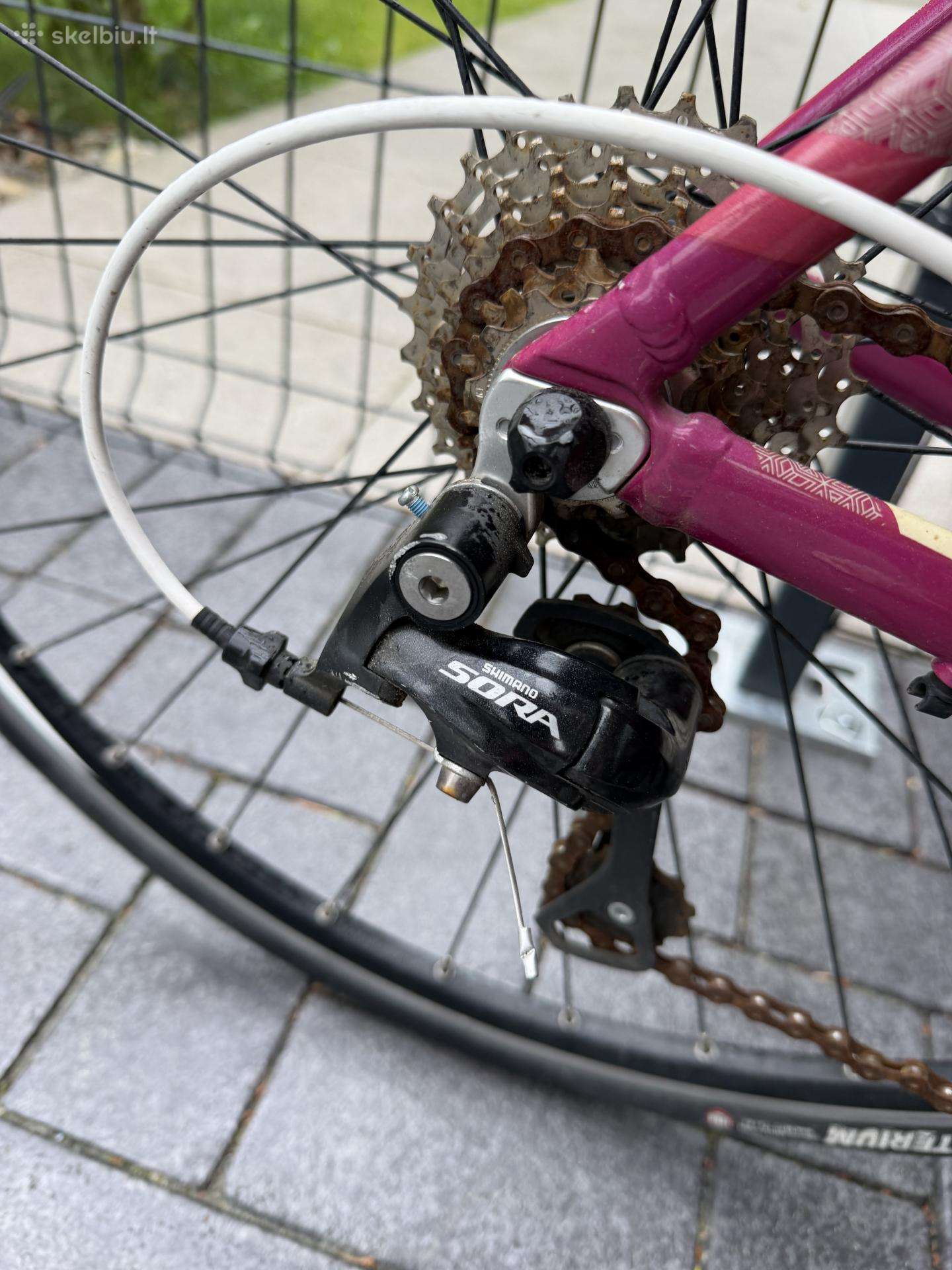 Mountain bike Specialized 29″